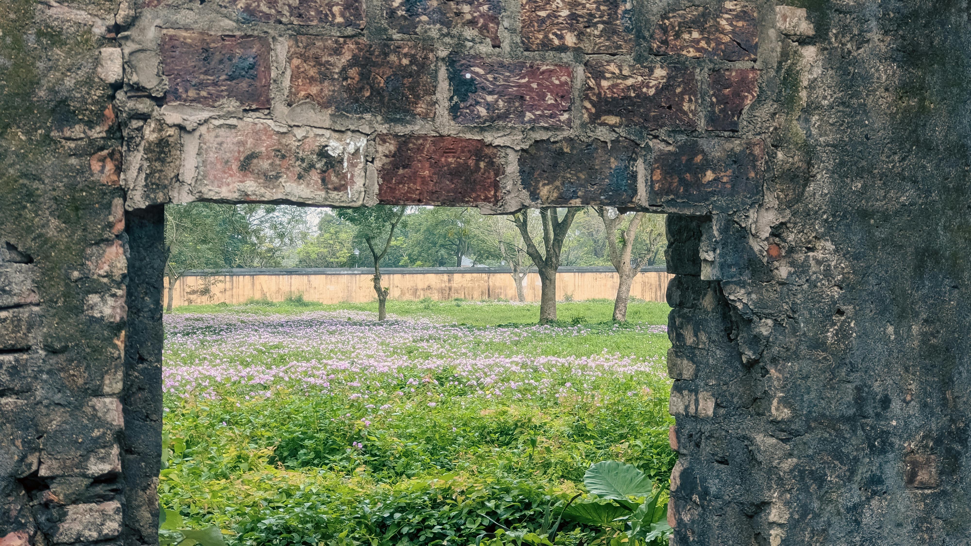 Trung tâm nghiên cứu văn học, phát triển nhà văn Việt Nam