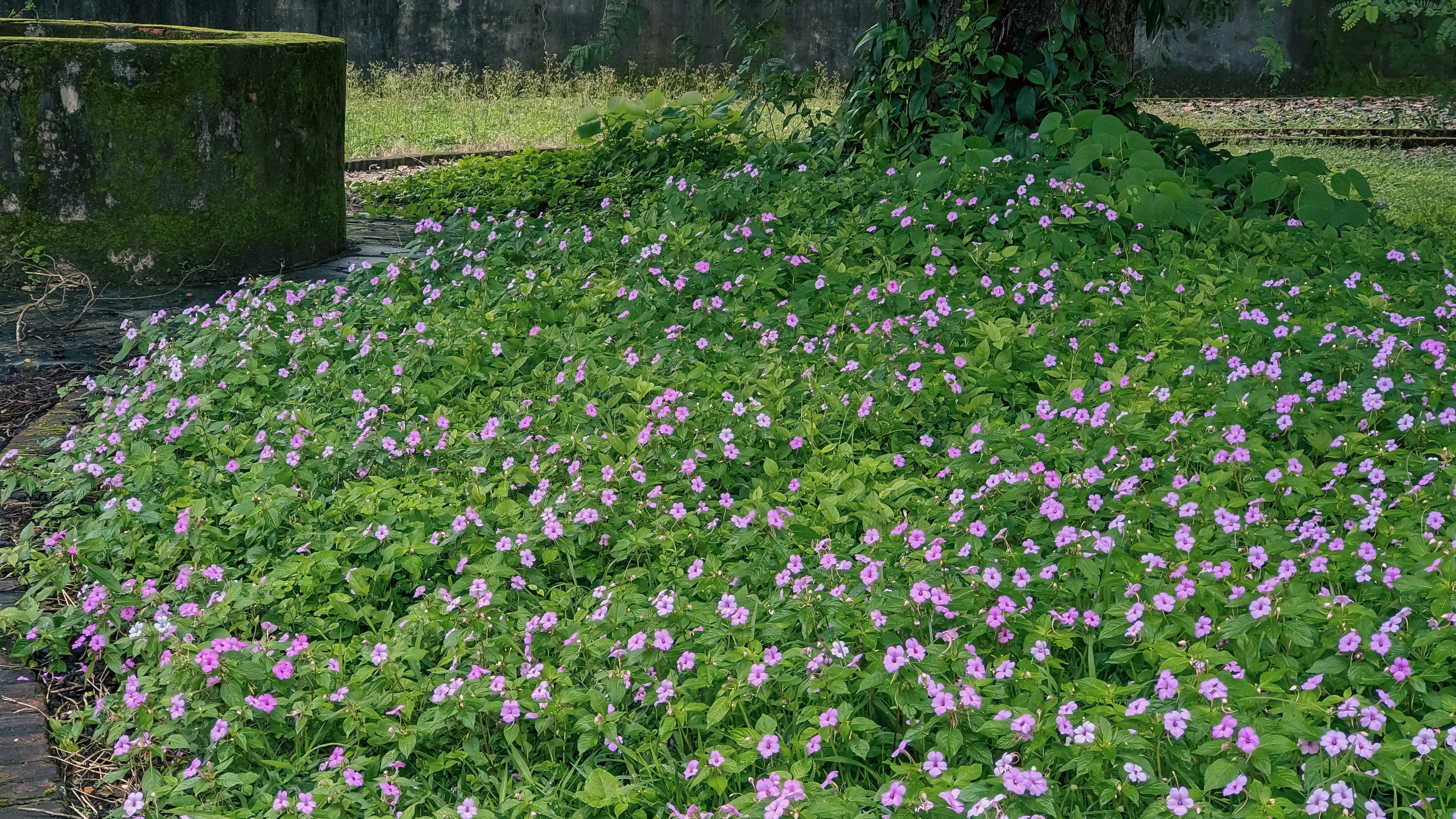 Danh sách theo thẻ am-thuc, trang 2