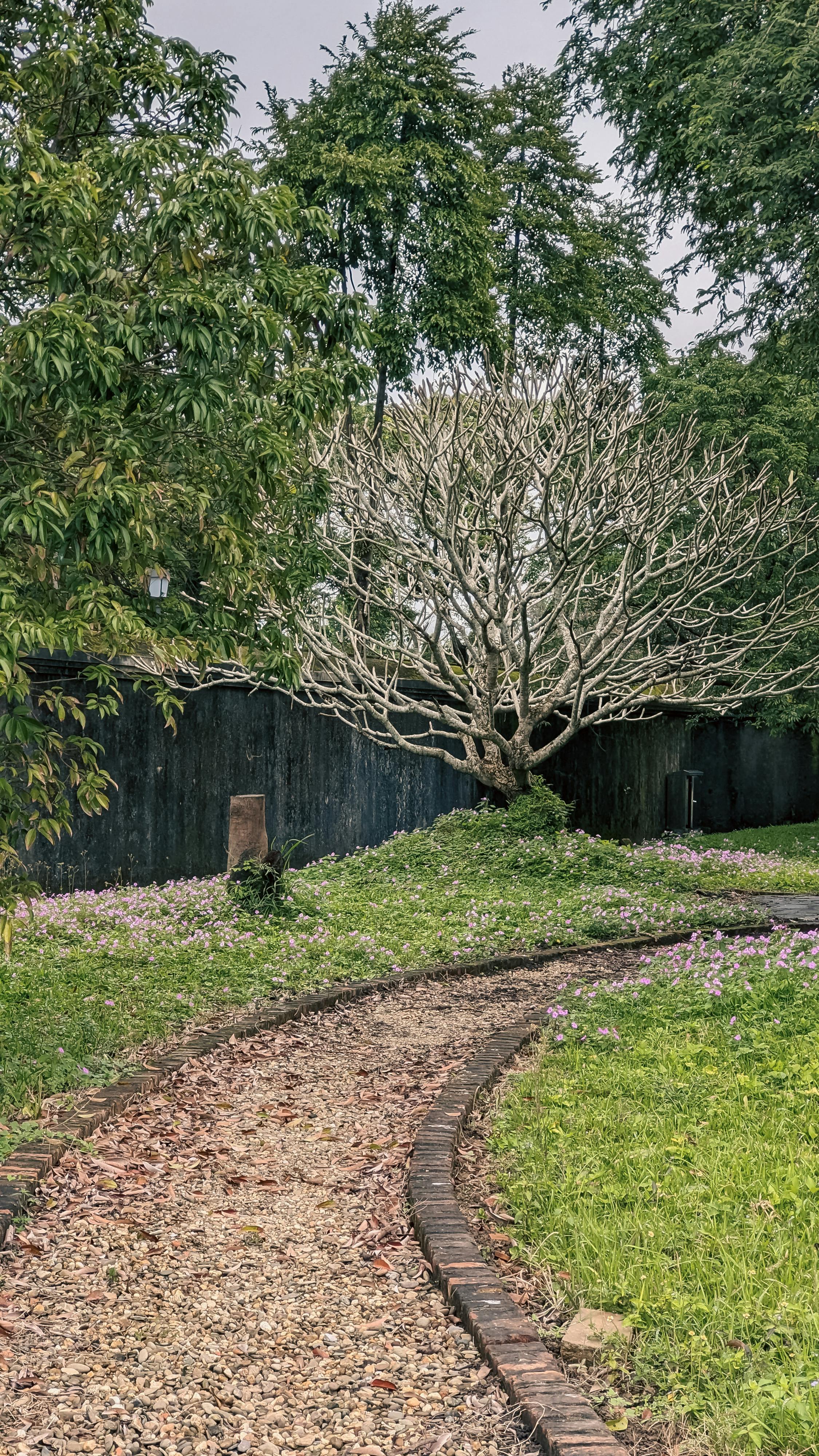 Thần điêu hiệp lữ | Chương 19 028 – thu vien, van hoc, van hoc trung quoc, kiem hiep, kim dung, than dieu hiep lu, than dieu hiep lu chuong 19, than dieu hiep lu 19.
