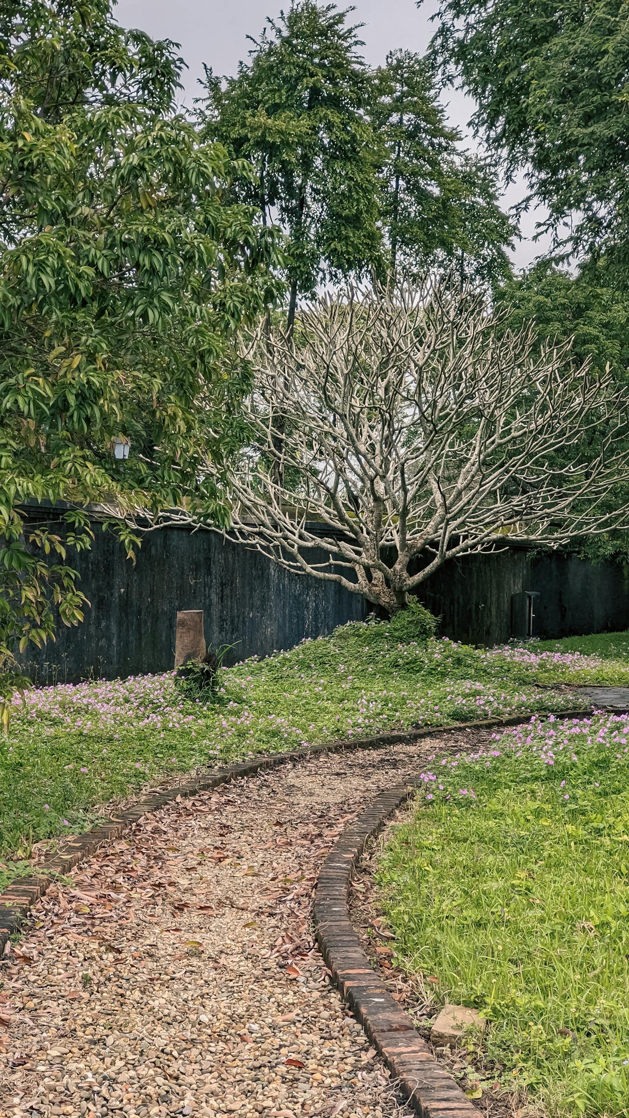 The Facts in the Case of M. Valdemar