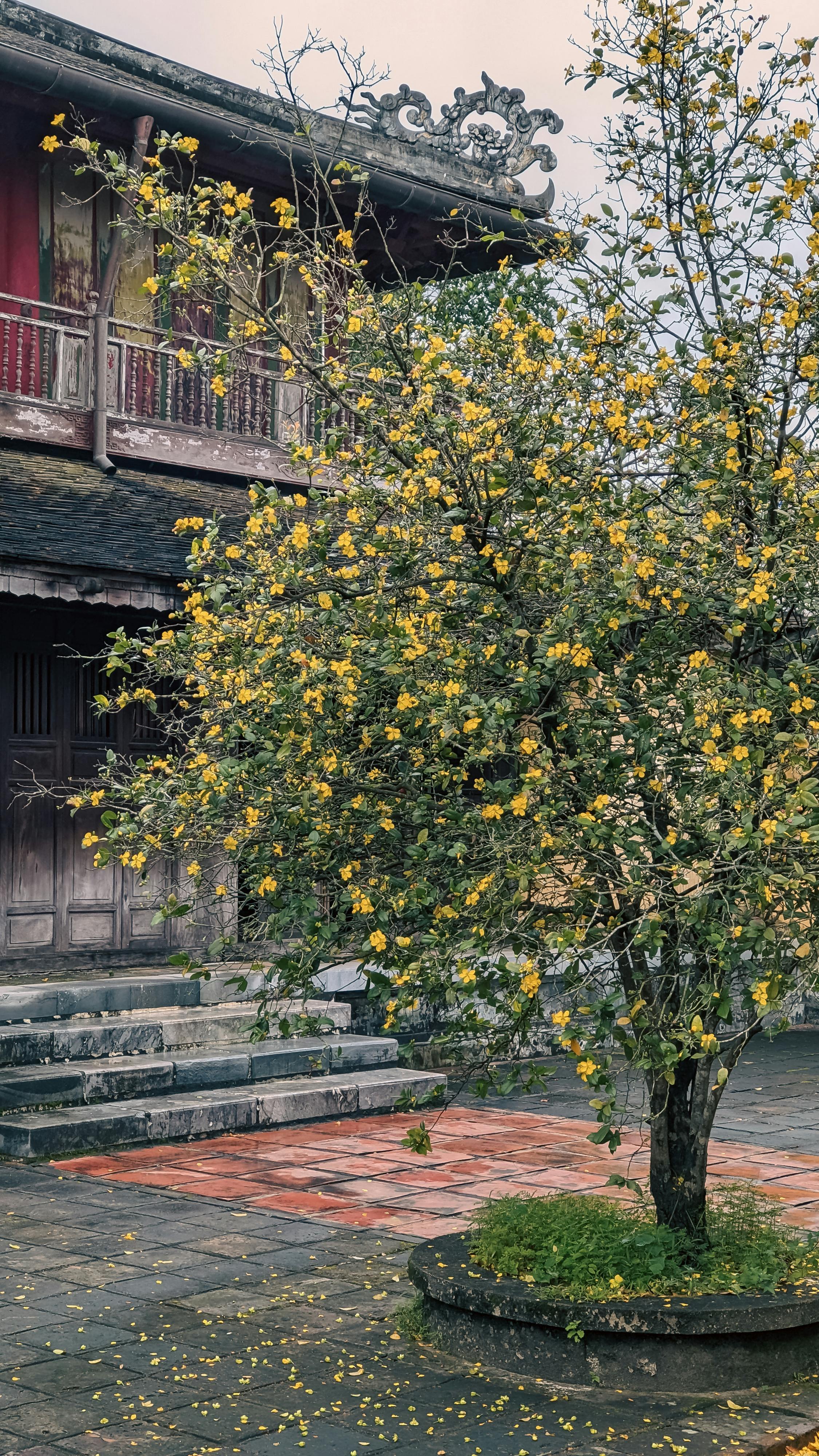 Thám tử lừng danh Conan | Chương 0707 236 – manga, gosho aoyama, case closed, tham tu lung danh conan, conan, detective conan, truyen tranh, trinh tham, pha an, trinh tham, kinh di, truyen conan, doc truyen conan, tham tu lung danh conan chuong 0707, tham tu lung danh conan 0707.