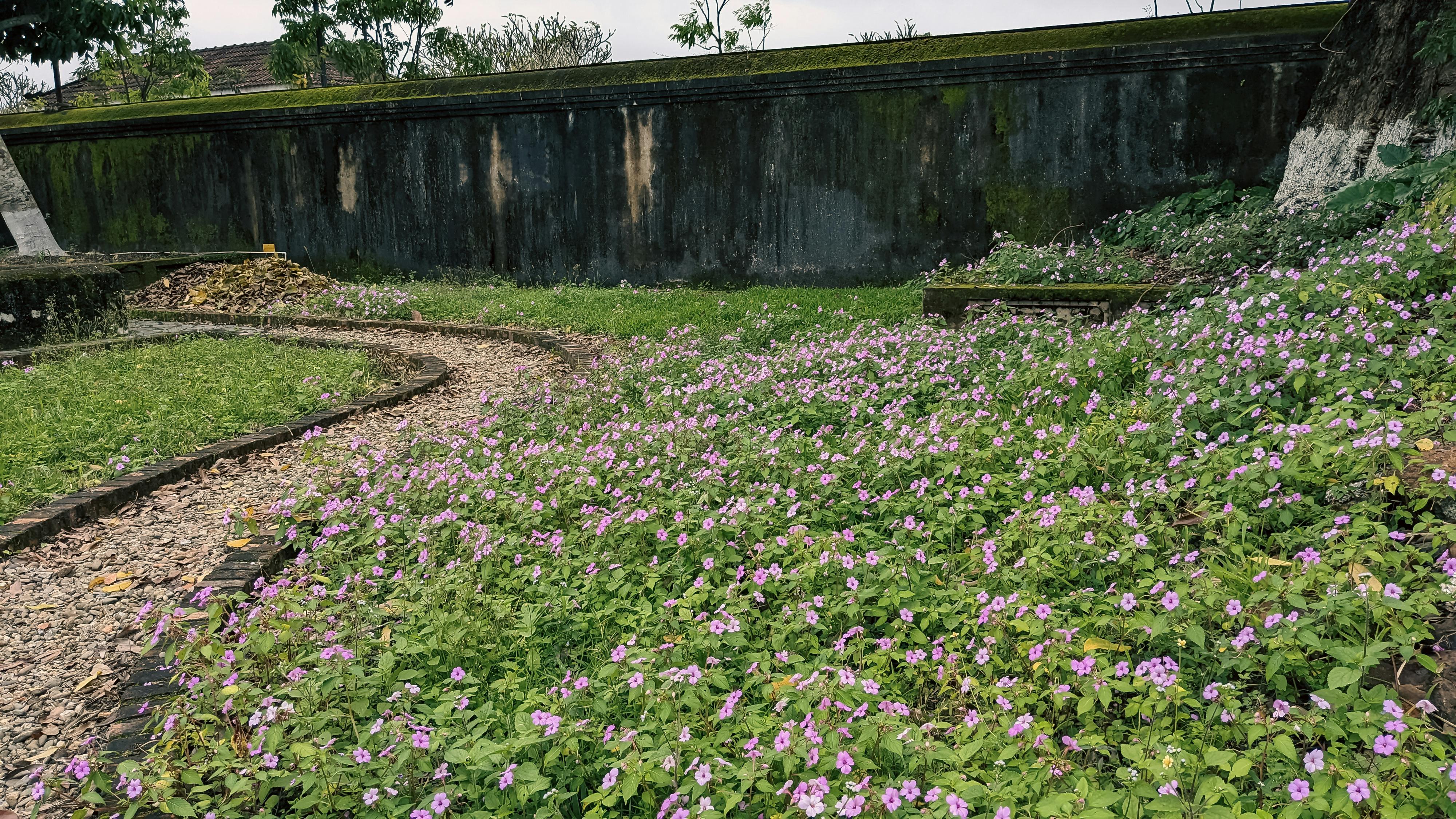 Trung tâm nghiên cứu văn học, phát triển nhà văn Việt Nam