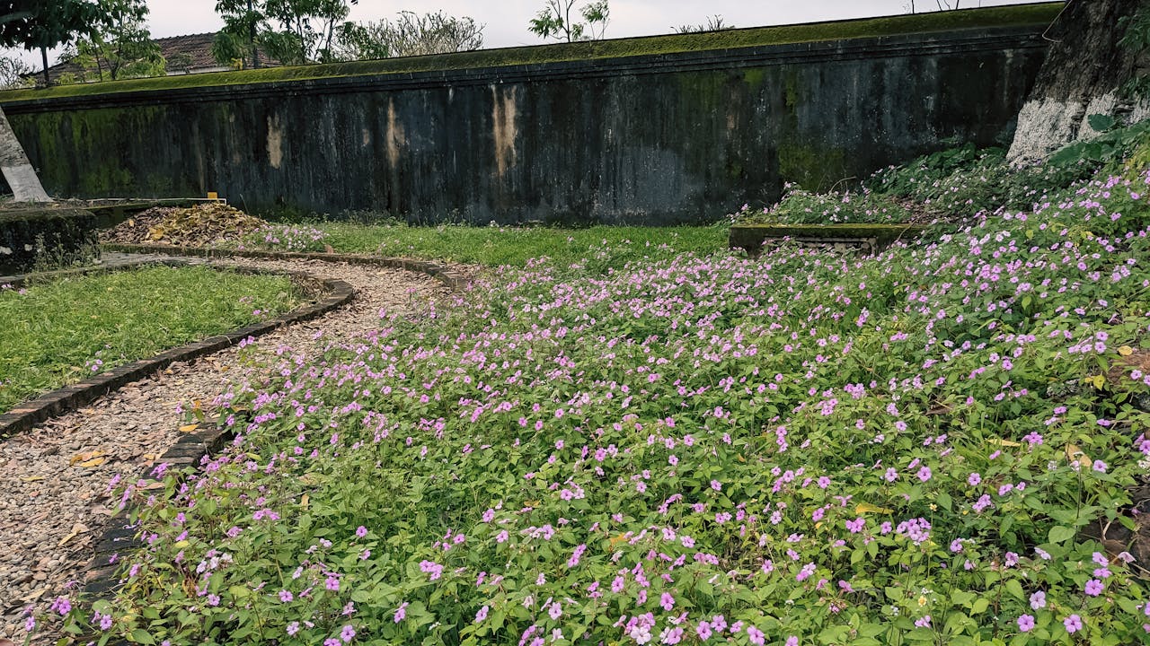 Tìm lại ý nghĩa trong thế giới thay đổi