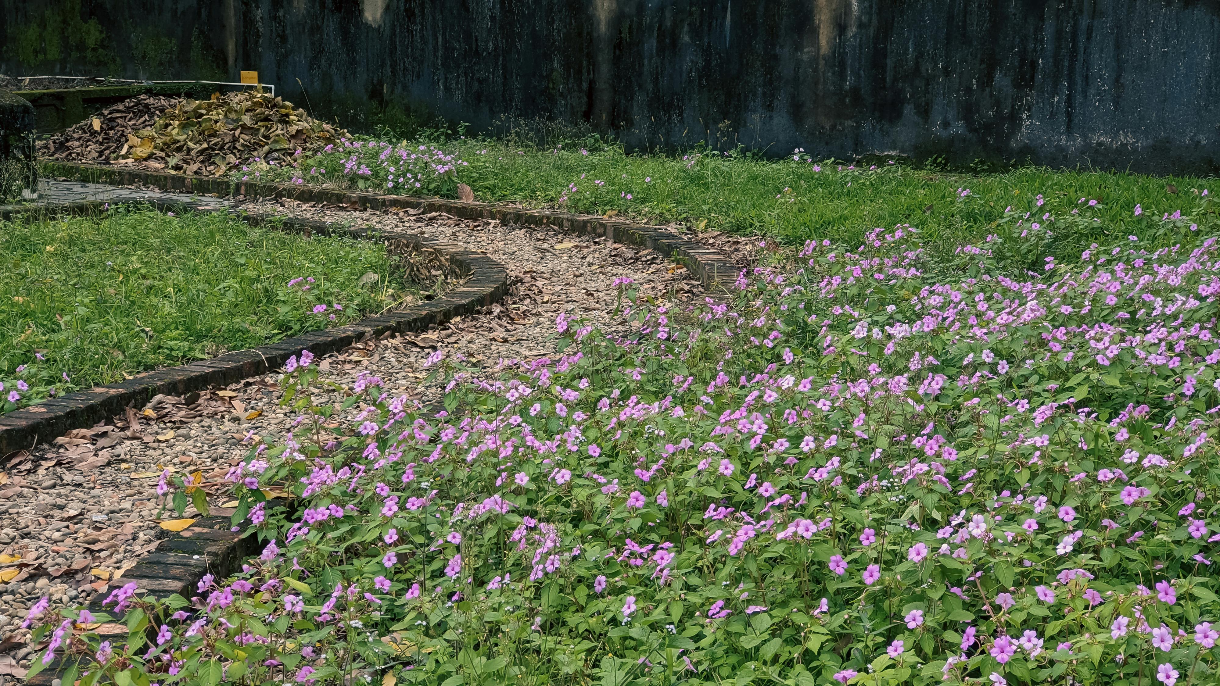 Giấc mơ và bí ẩn khoa học phía sau 743 – khoa hoc, xa hoi hoc, tam ly hoc, suc khoe, giac ngu, giac mo, dreaming.