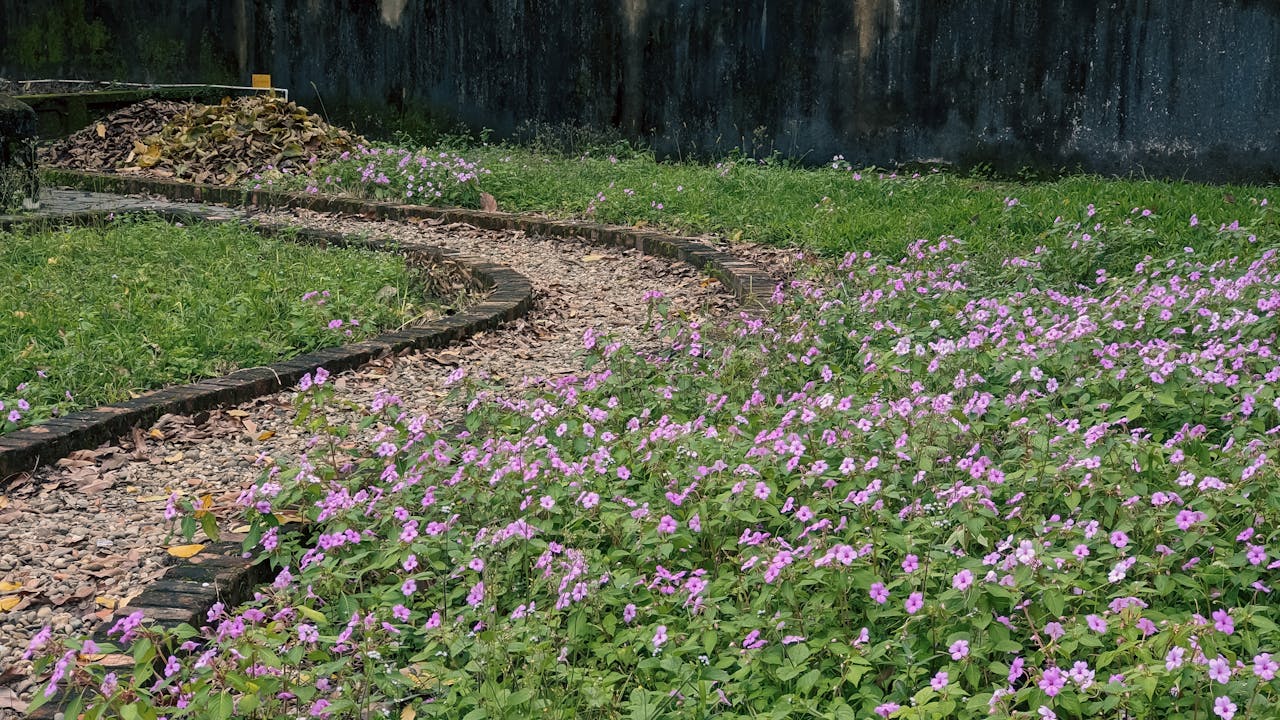 10 lời khuyên để giữ cho chó mèo hạnh phúc trong nhà