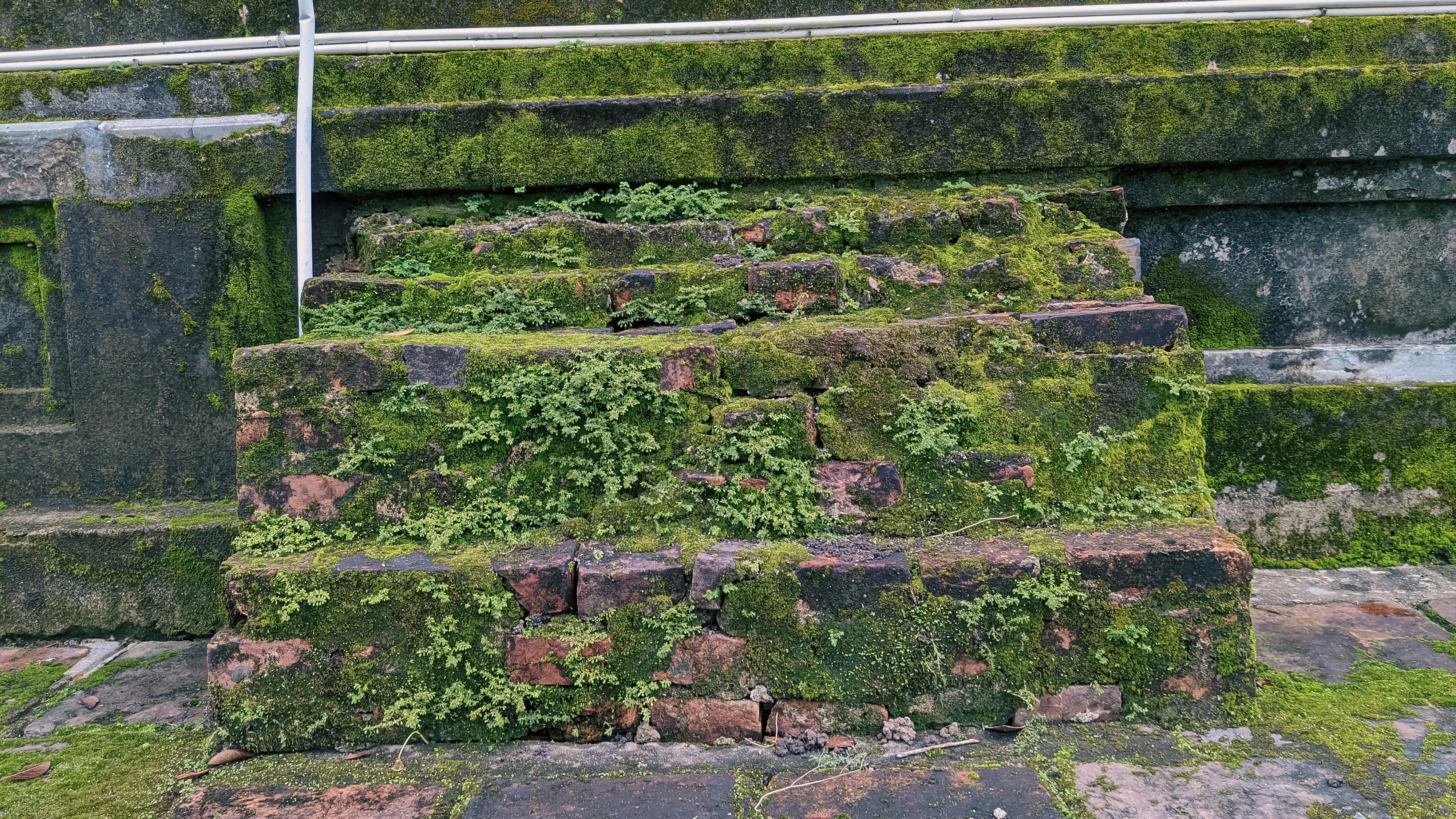 Trung tâm nghiên cứu văn học, phát triển nhà văn Việt Nam