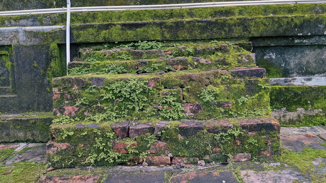 Nguồn gốc thời trung cổ của bản vẽ kiến trúc