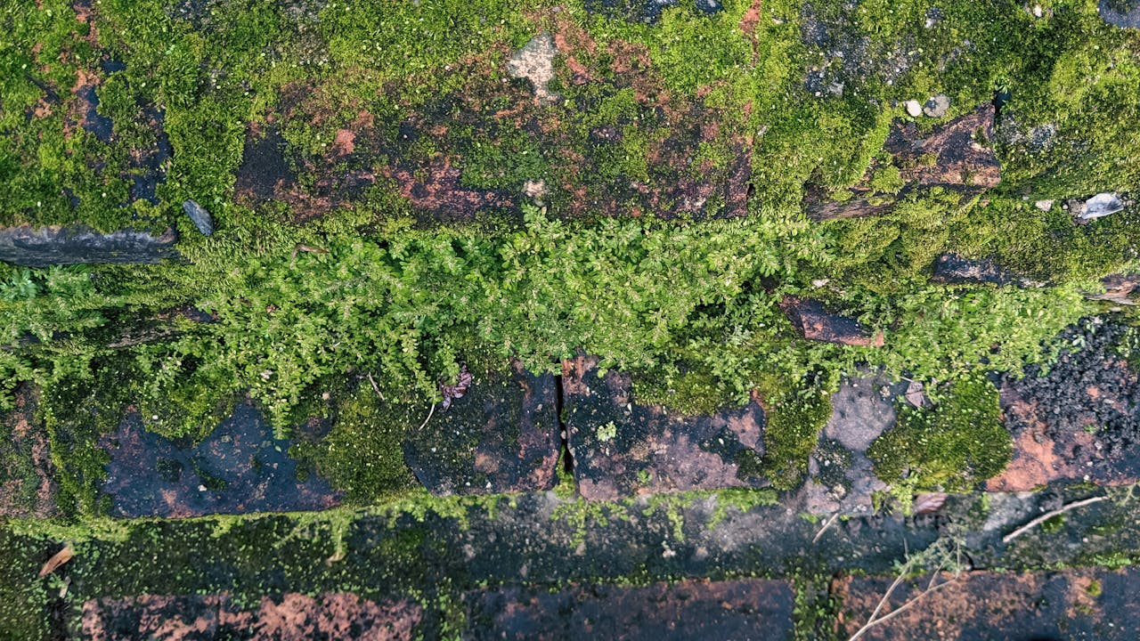 10 trường phái triết học cần biết