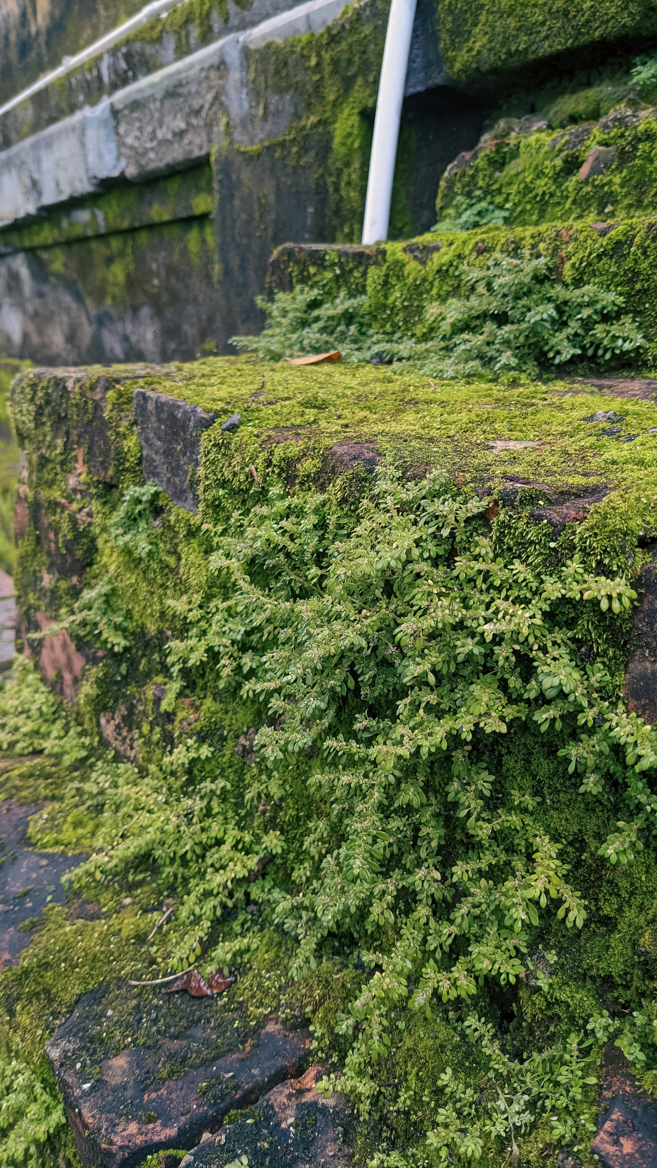 Danh sách theo thẻ phat-trien-ban-than