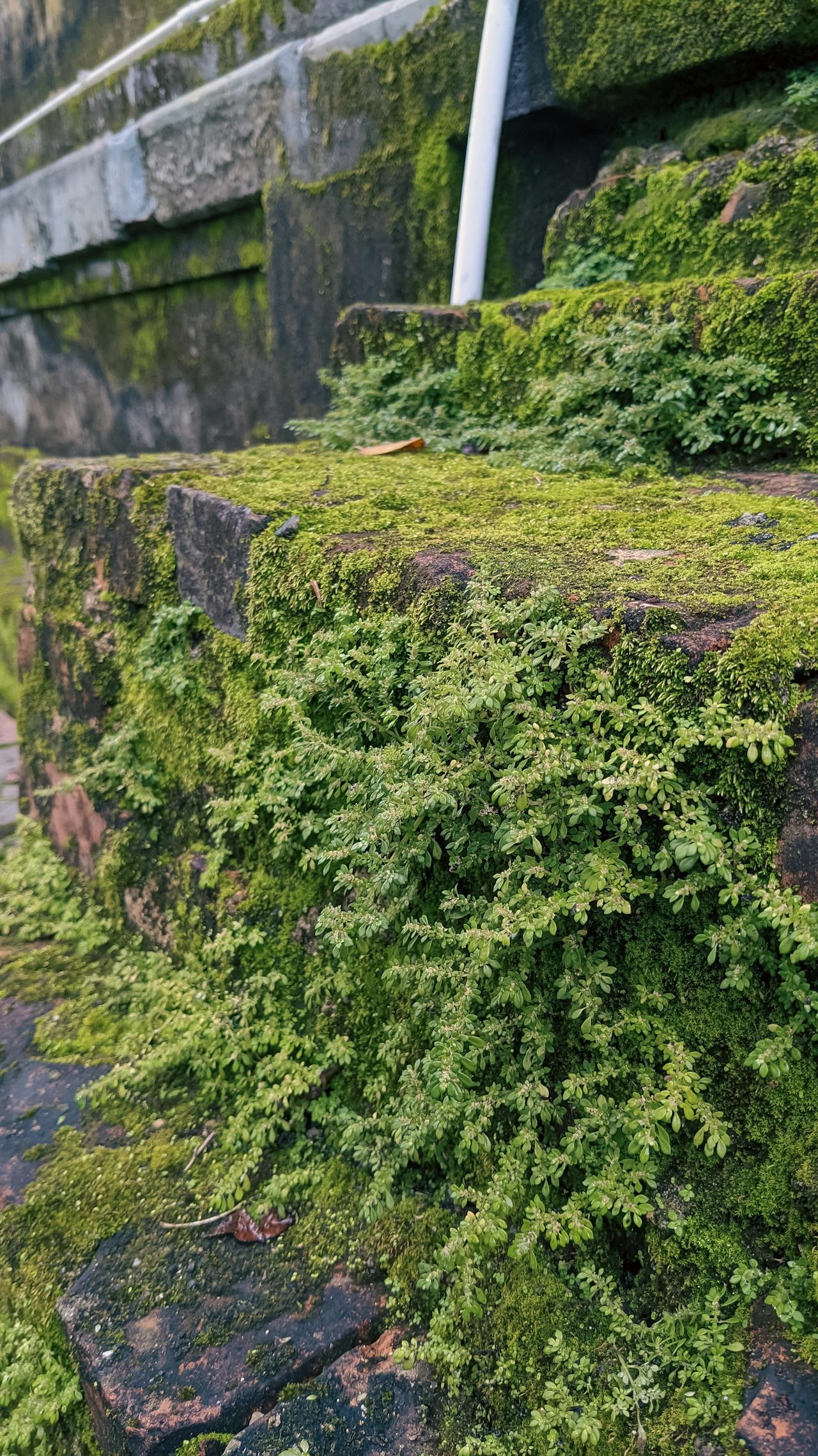 Thám tử lừng danh Conan | Chương 1147