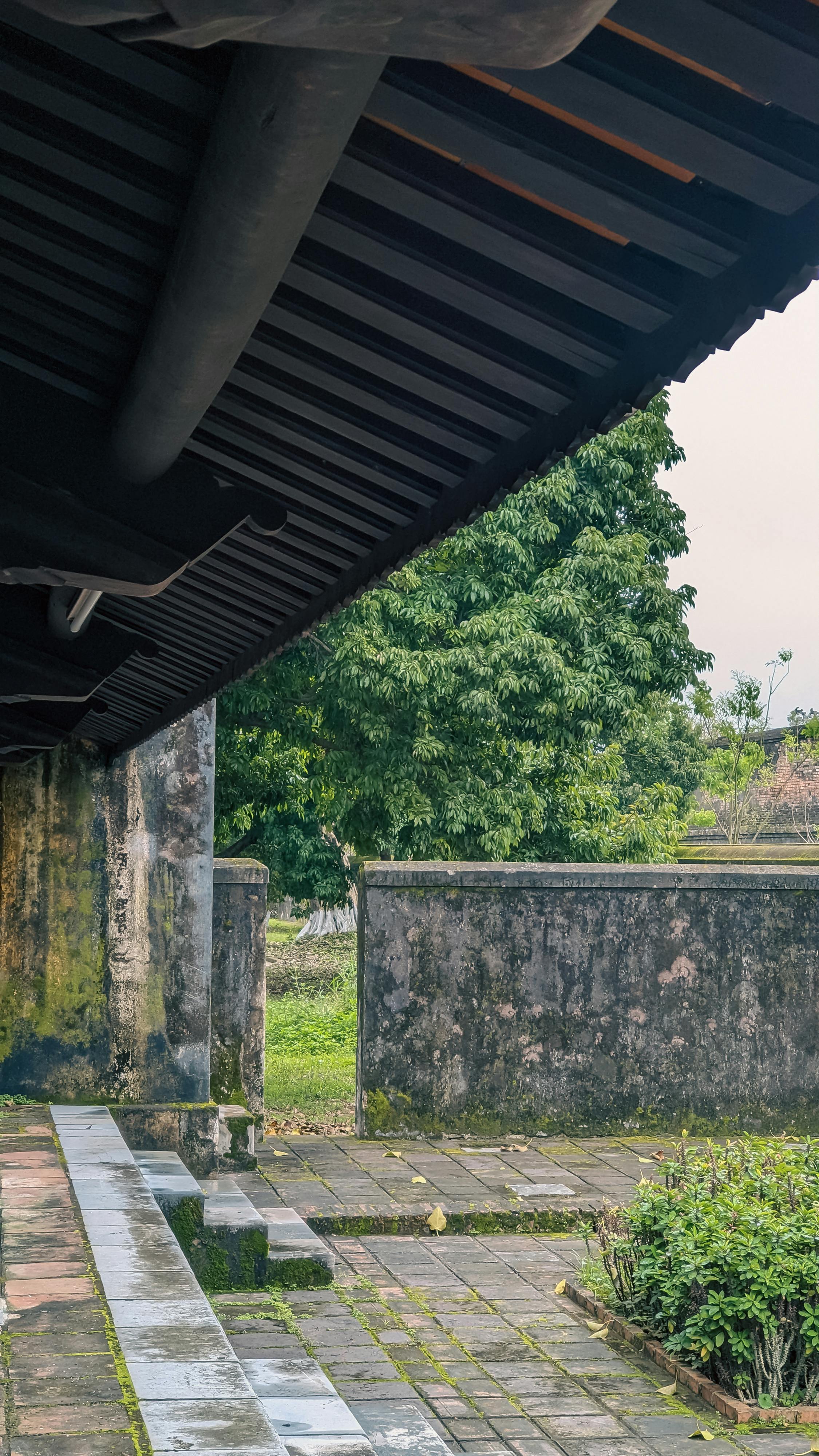 Thám tử lừng danh Conan | Chương 0565