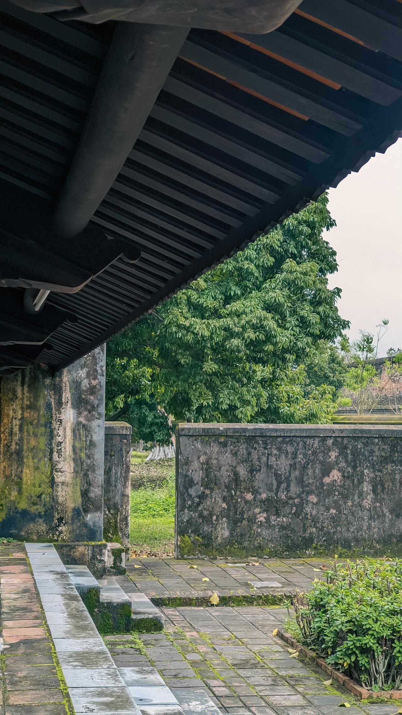 Hòa nhịp với mặt trời – Đồng hồ sinh học của cơ thể