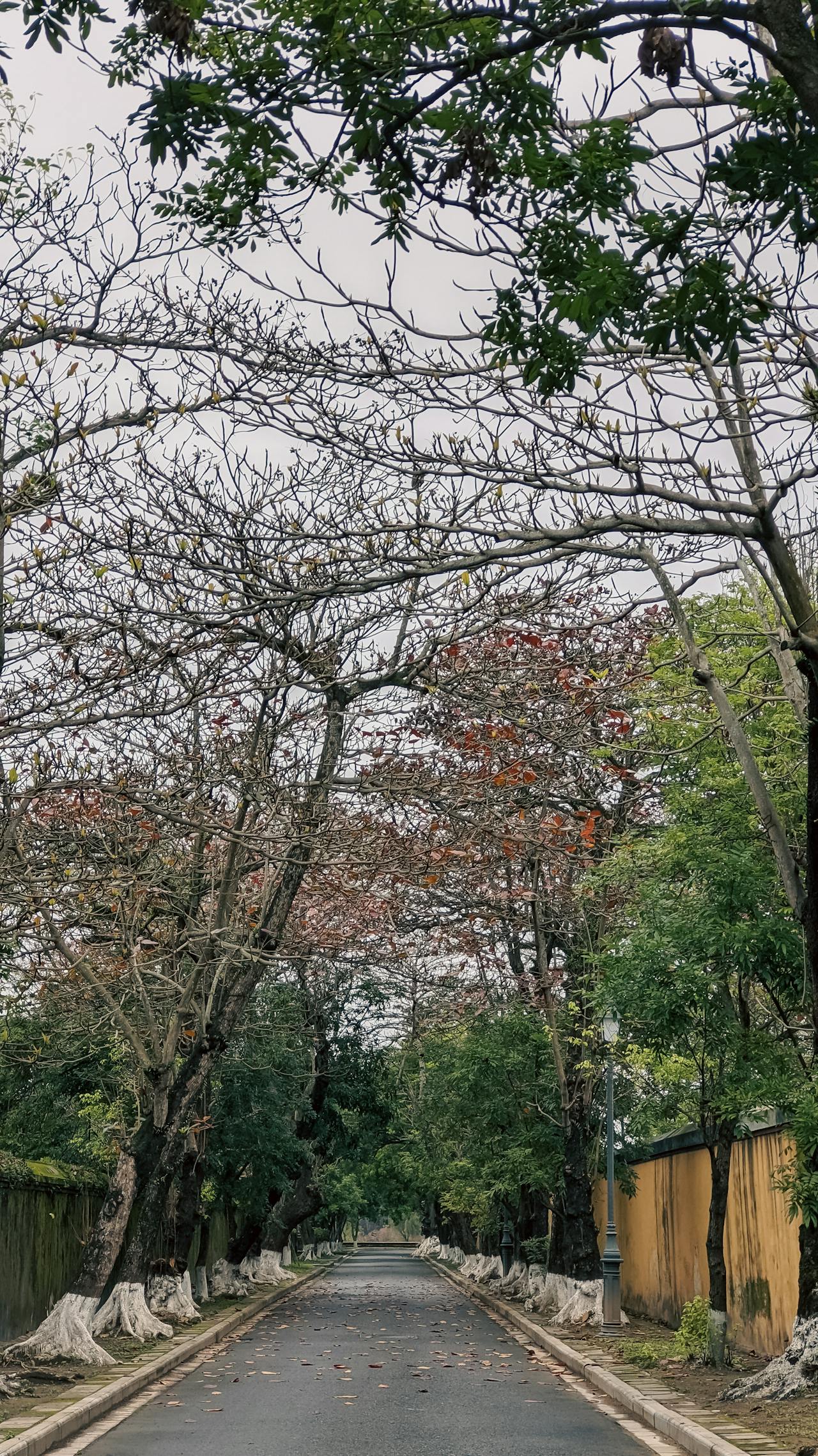 Giếng thở than | Chương 30