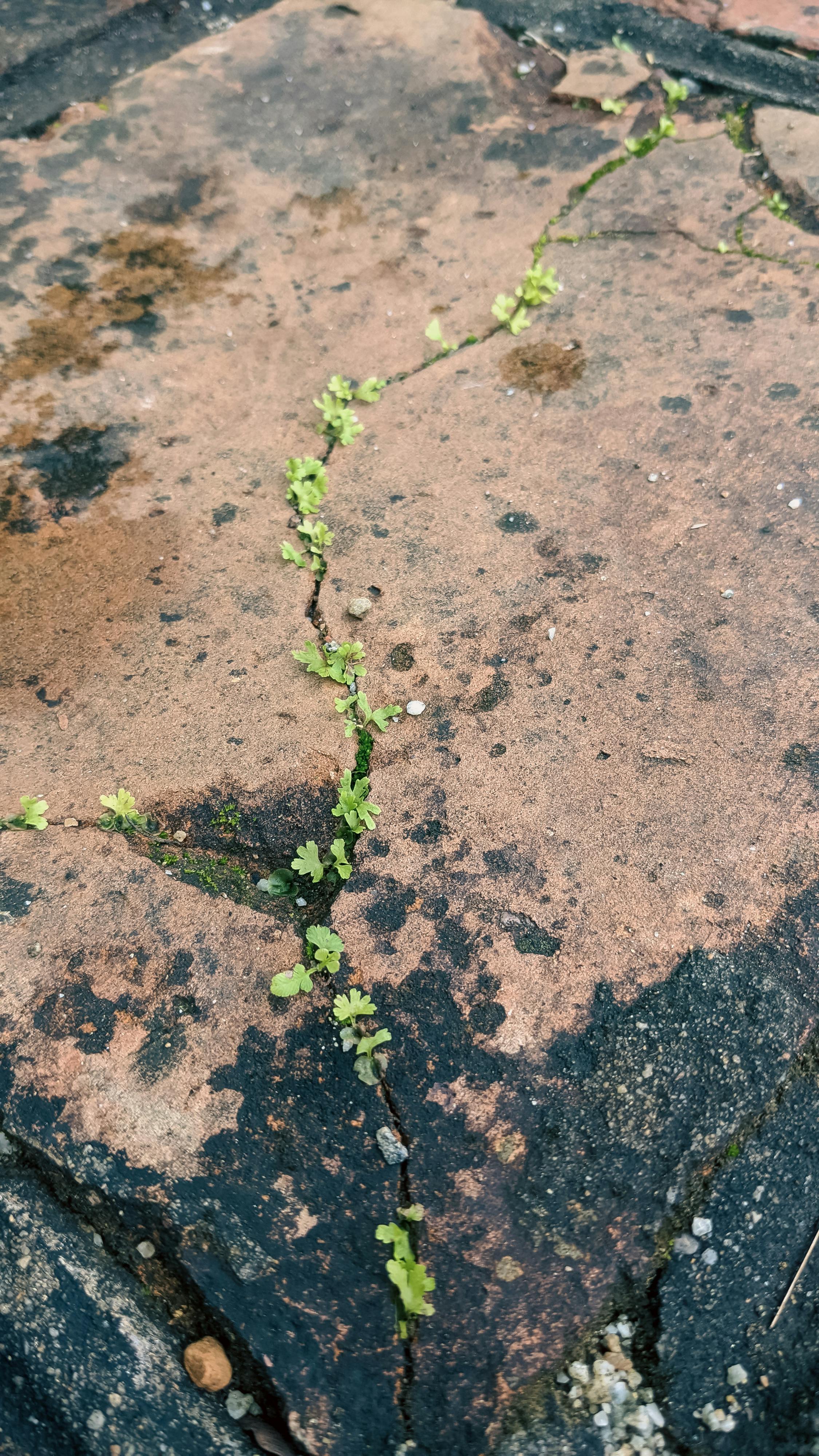 Bài kiểm tra cuối cùng của nhân loại 233 – khoa hoc, vu tru, vat ly thien van, khoa hoc vu tru, bai kiem tra cuoi cung, kiem tra nhan loai, ai, nhan thuc, nhan hoc, may hoc, tri tue nhan tao.