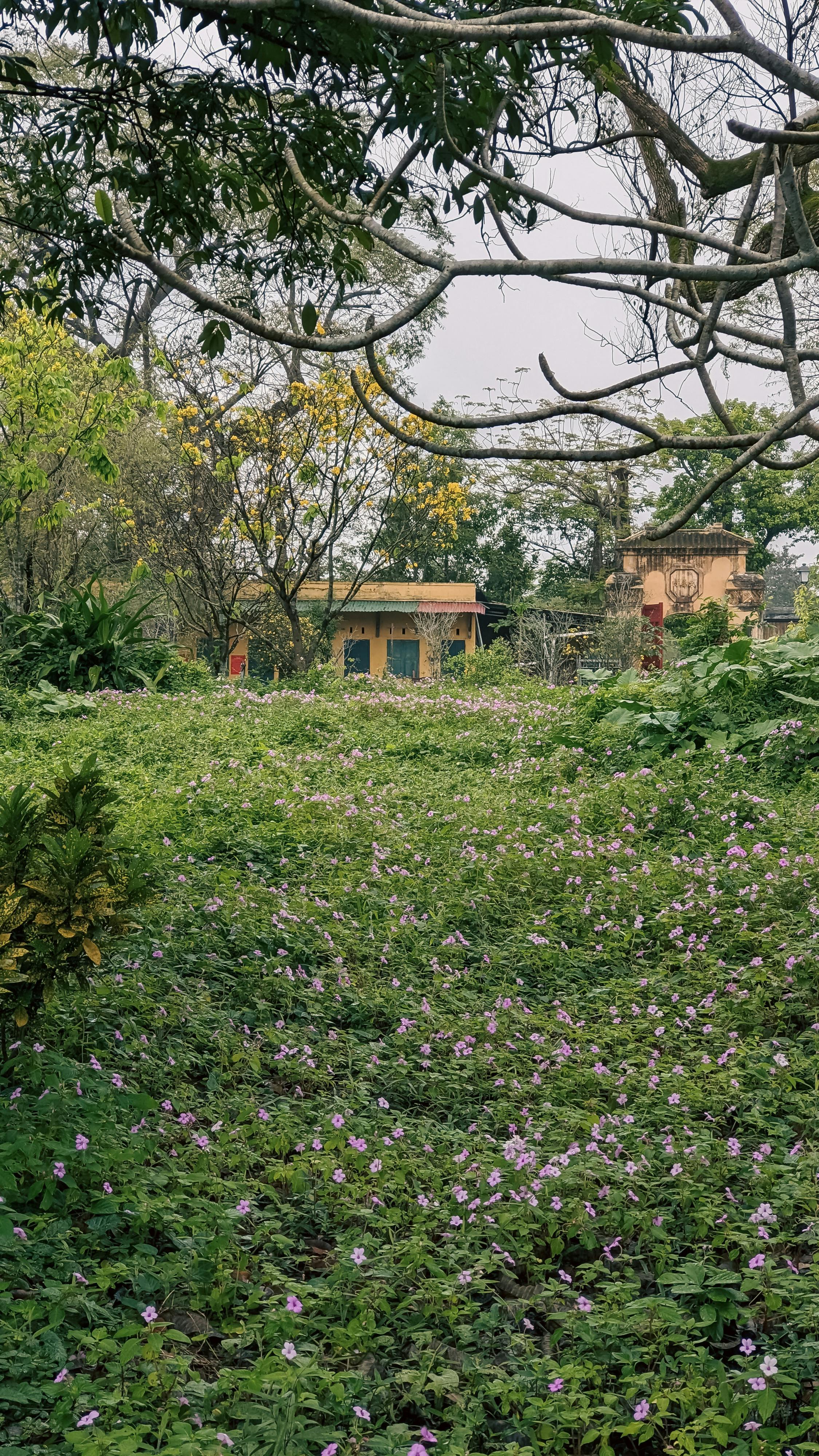 Cẩm nang du lịch Lăng Cô 410 – cam nang du lich, du lich mien trung, du lich lang co.