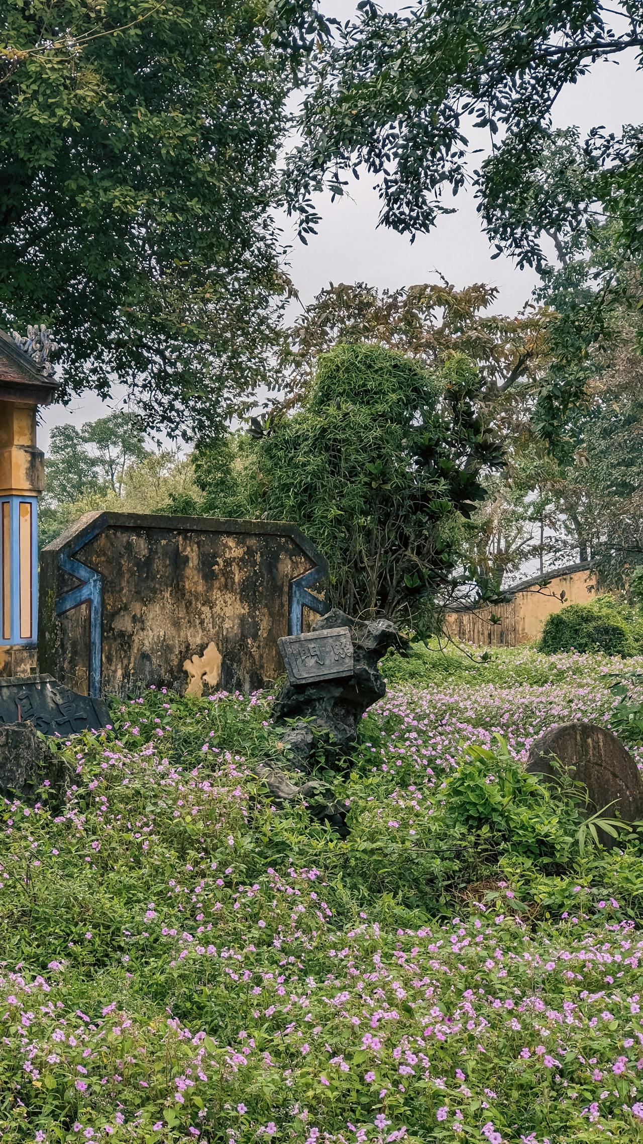 Hướng dẫn chi tiết về thiền cùng với chó