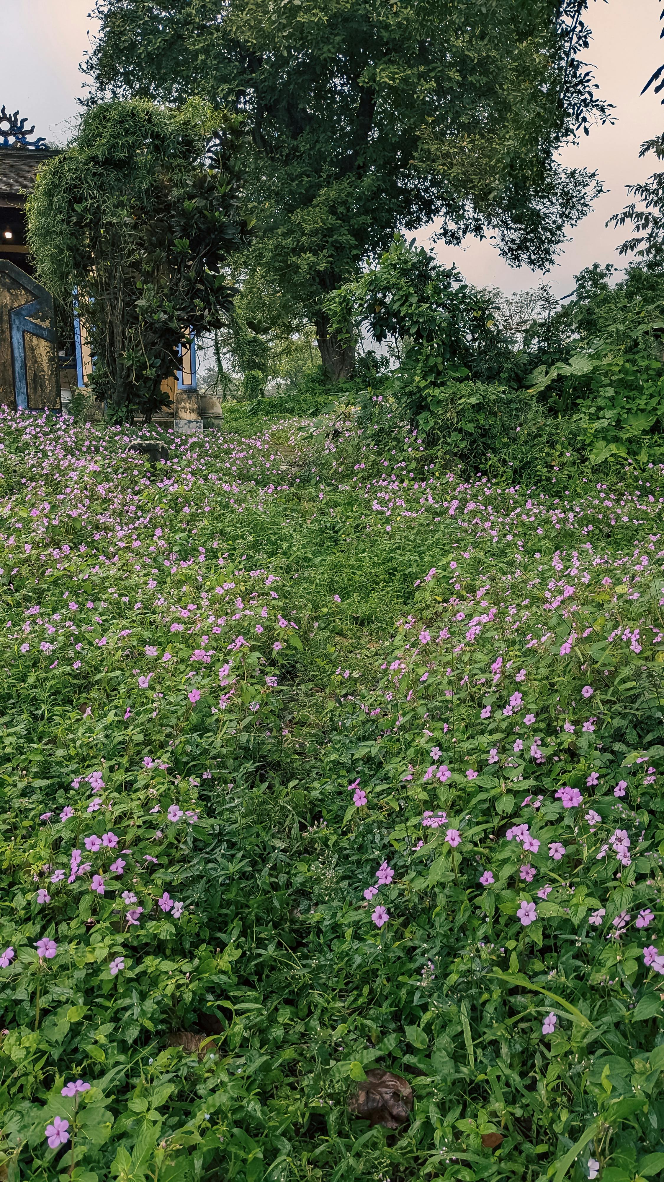 Những câu hỏi thường gặp về Phần mềm quản lý tiệm Spa 788 – viet thue, marketing, spa, b2b, spa phan mem cau hoi.