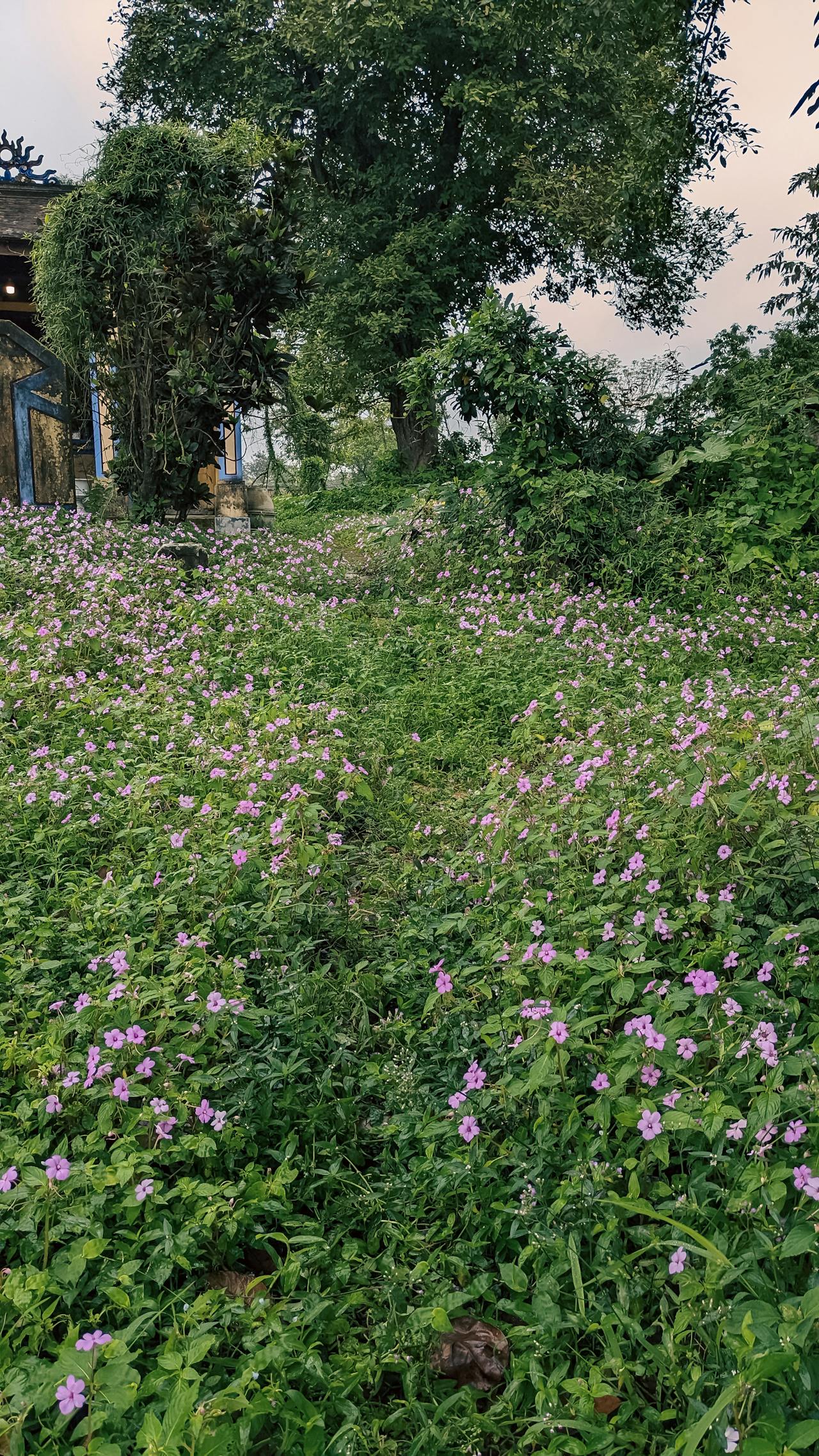 Viết đoạn văn giới thiệu bản thân lớp 11