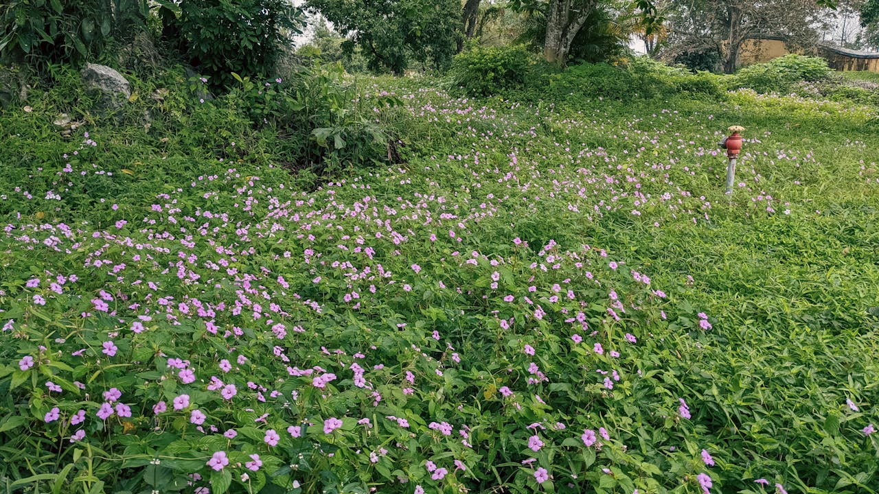 5 kiệt tác trinh thám hay nhất