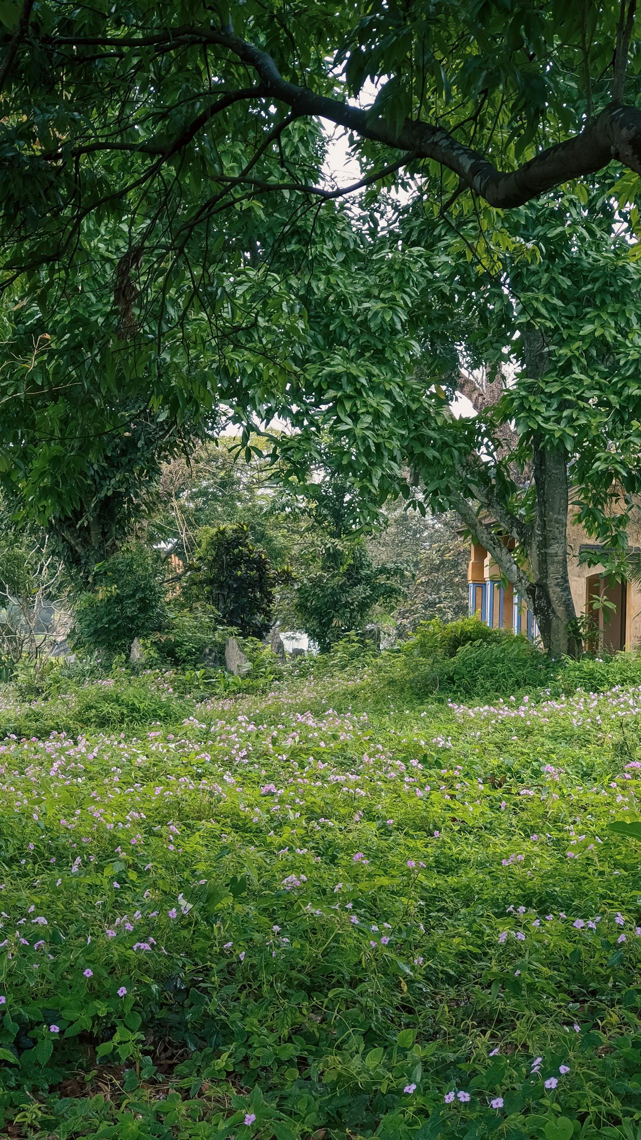 Tái thiết bản sắc văn hóa để gìn ký ức thế hệ