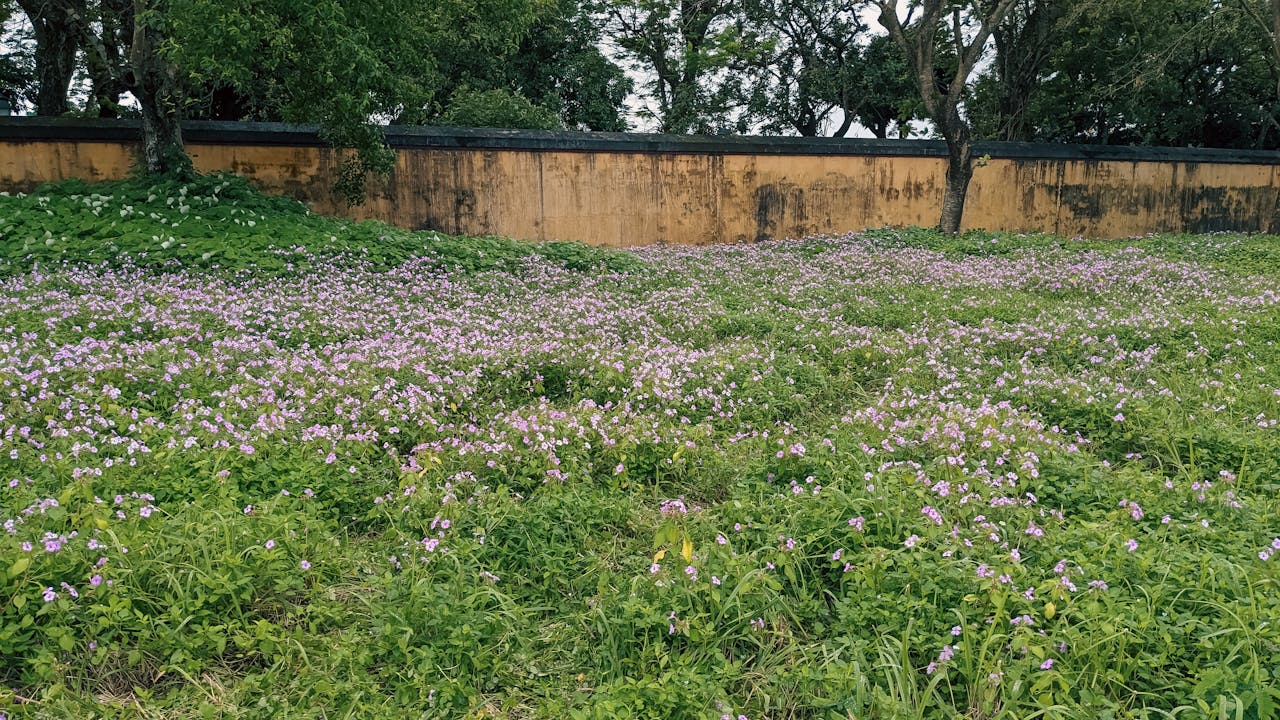 Cẩm nang du lịch Đại Lải