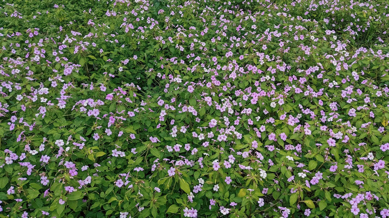 100+ caption, caption, câu nói, câu văn hay về ngày Thương binh liệt sỹ 27/07