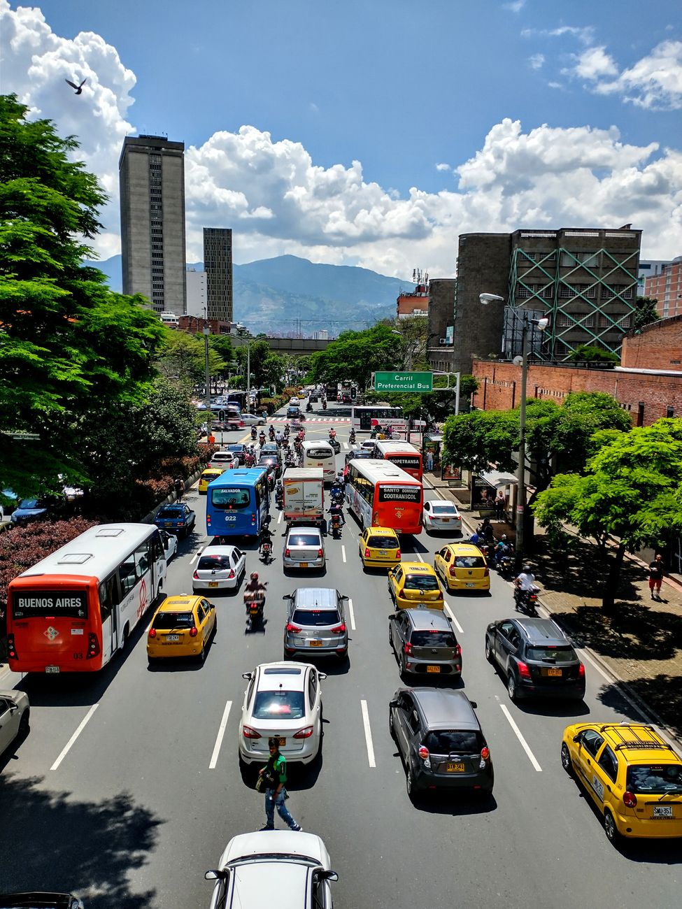 Conducir con Licencia Caducada: Multas y Procedimiento de Renovación Urgente
