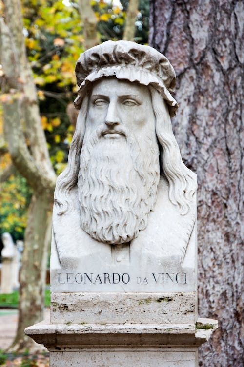 Free stock photo of antique, art, davinci Stock Photo