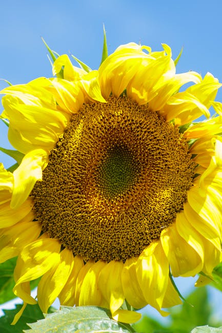 돌싱글즈 시즌 4 예고편