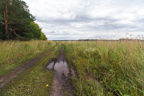 Free A tranquil dirt road through a grassy field under an overcast sky, capturing serenity and nature. Stock Photo
