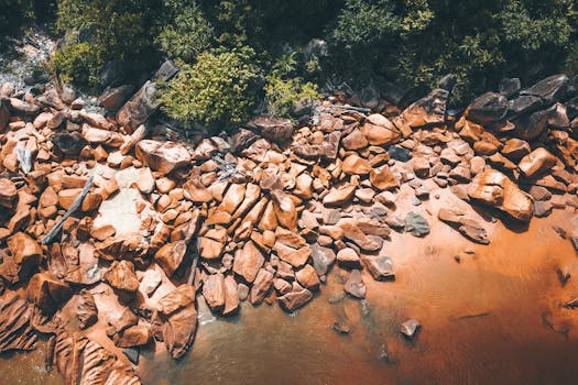 Drone view capturing rocky shoreline and lush forest, showcasing natural textures.