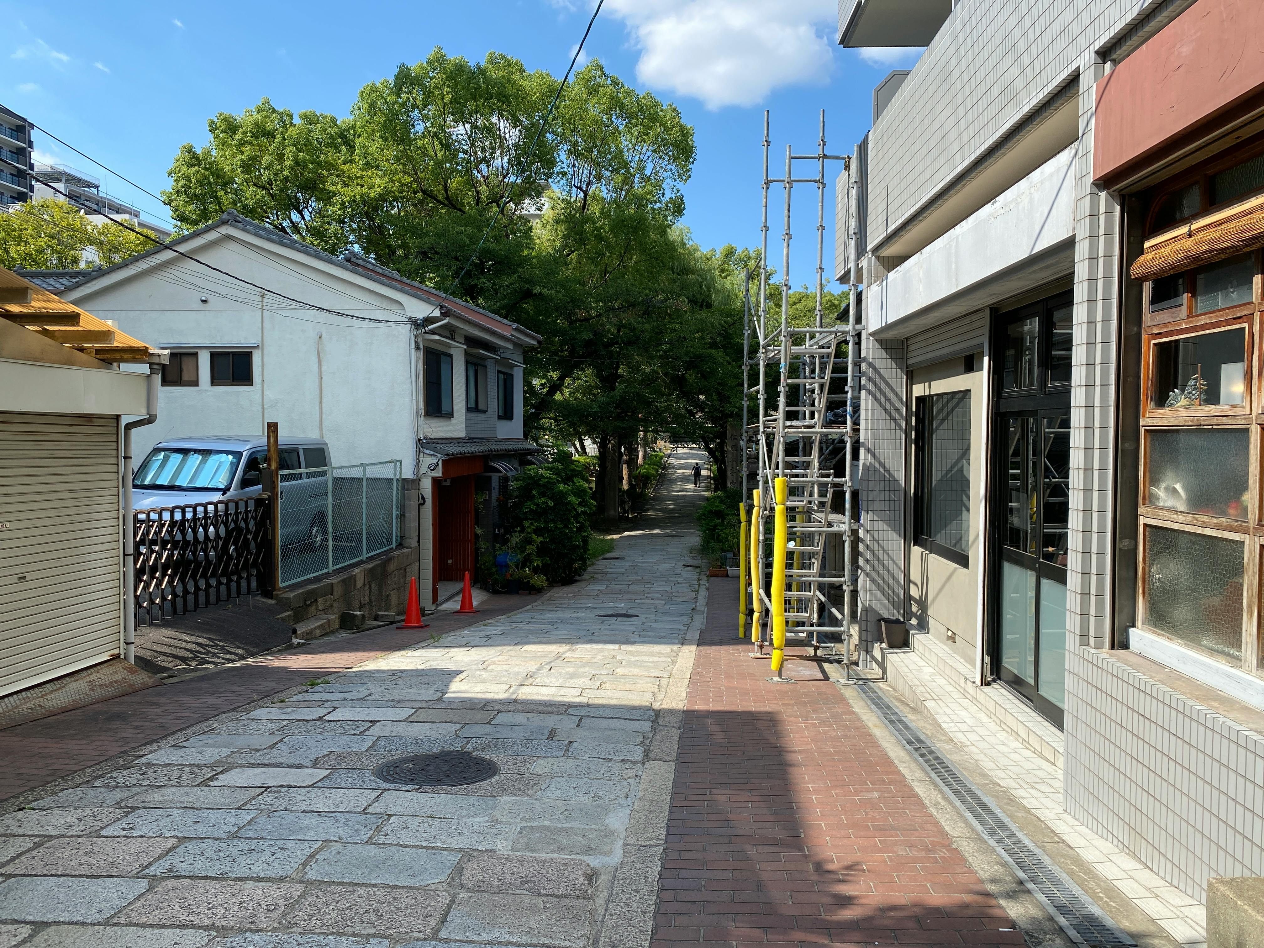 Quiet residential alley with trees and scaffolding, illuminated by bright daylight.