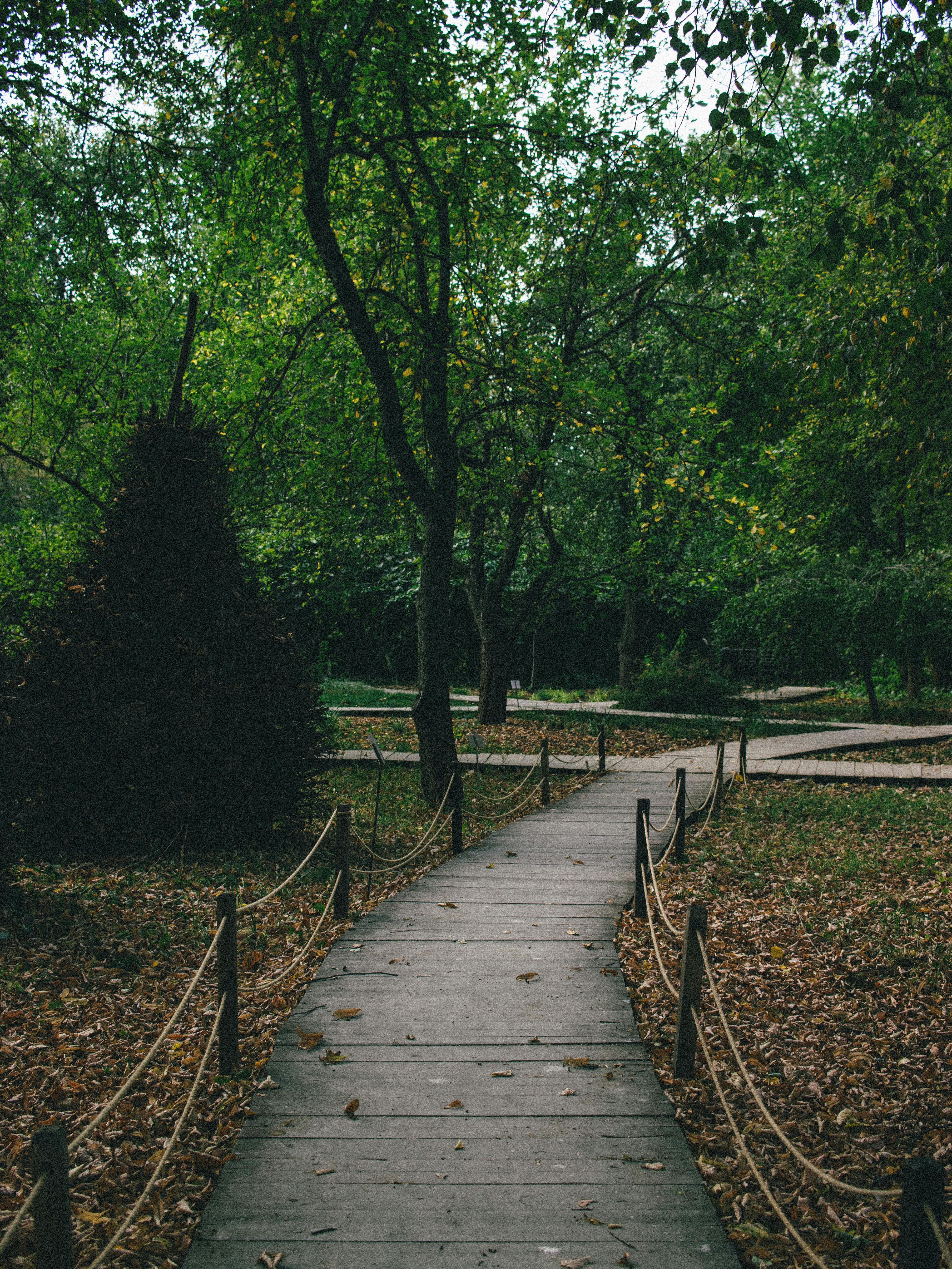 Core Principles of Change Management