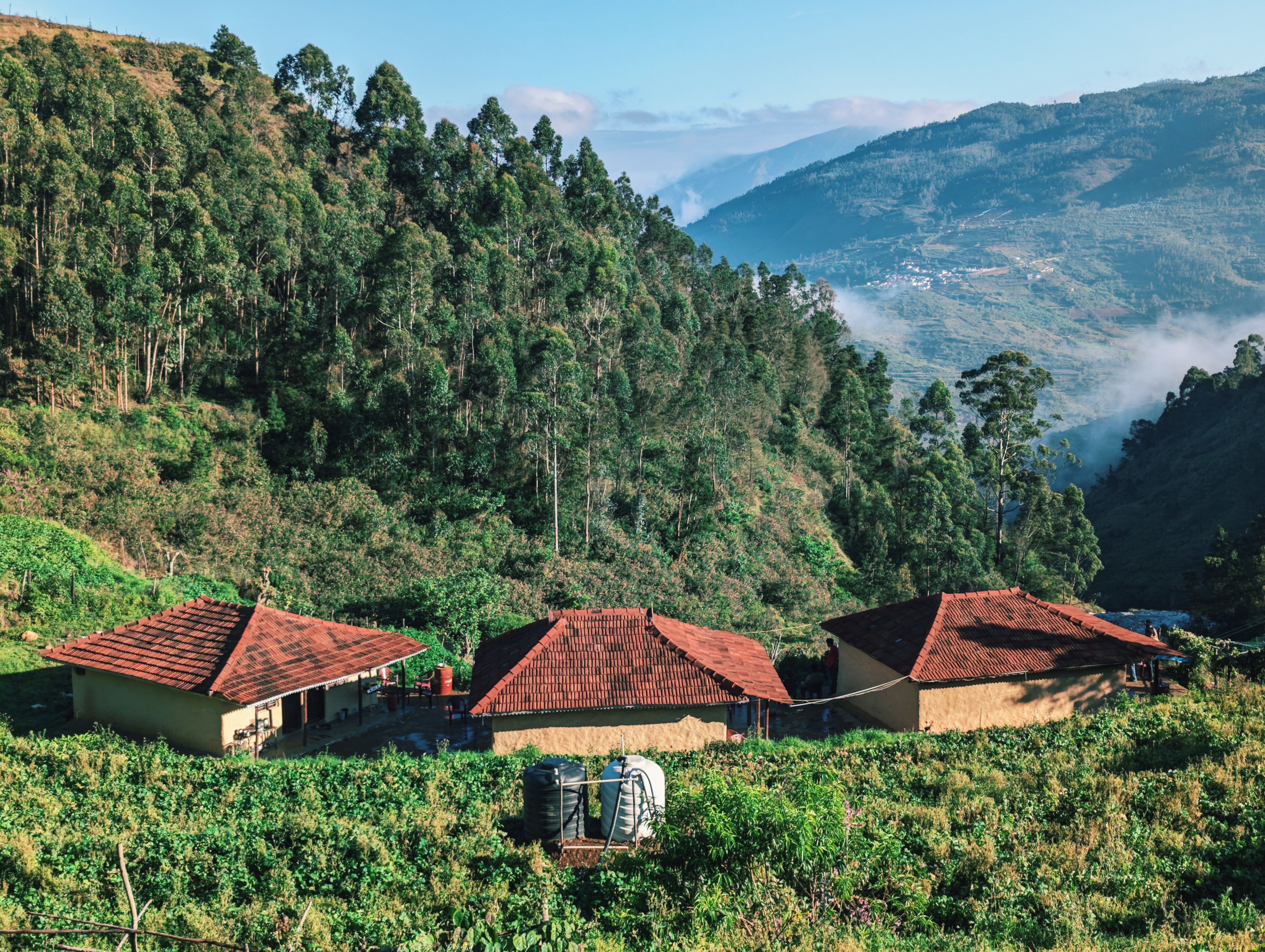 Charming Rural Houses Amidst Lush Greenery · Free Stock Photo