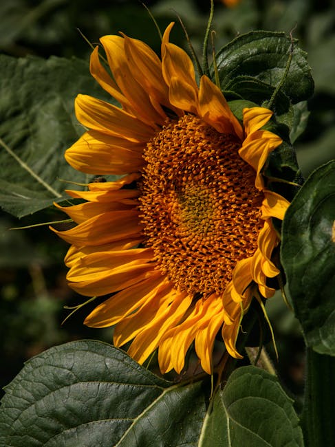 efficient leaf blowers garden 2026
