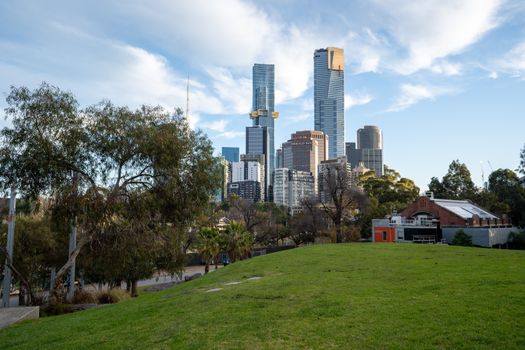 melbourne dog park yarra