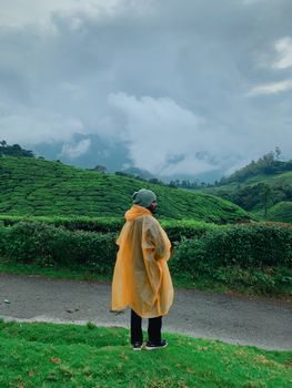 Traveler in raincoat enjoying the lush green tea hills of Munnar, India.