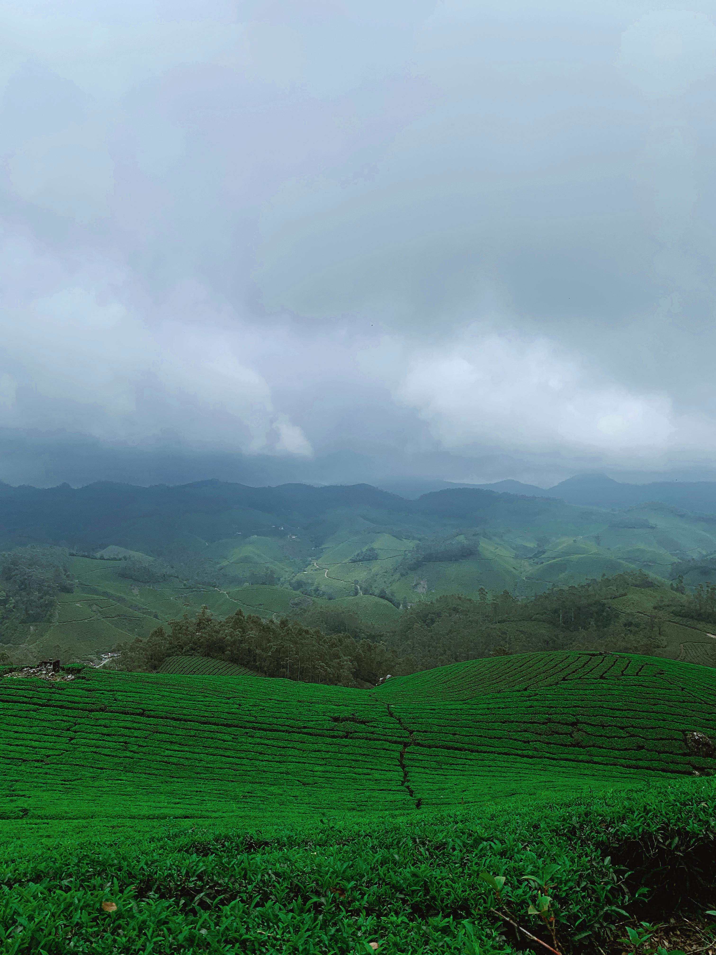 Stunning view of lush green tea plantations under dramatic skies in Munnar, India.