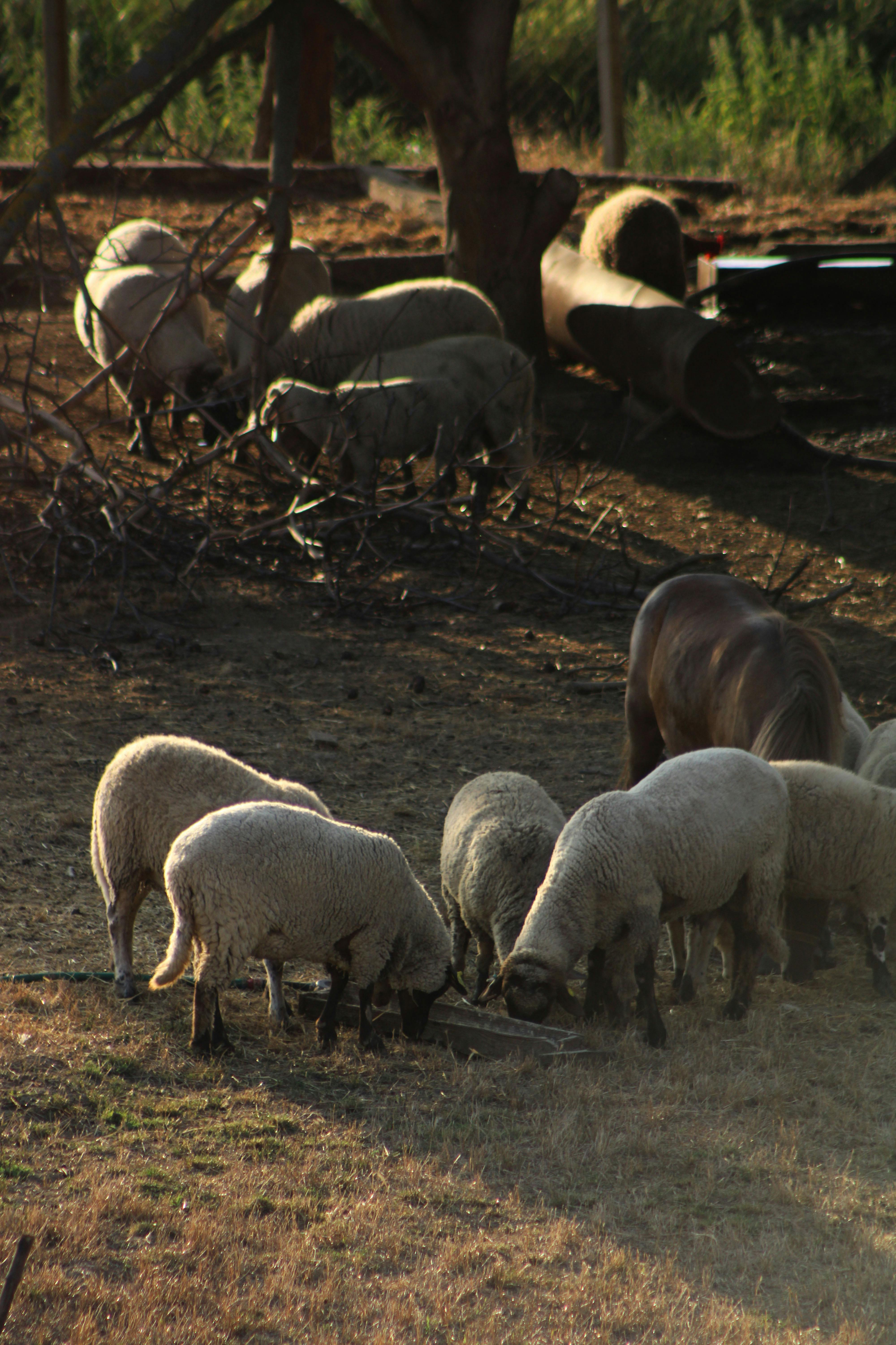 Web-Based Project Management Programs