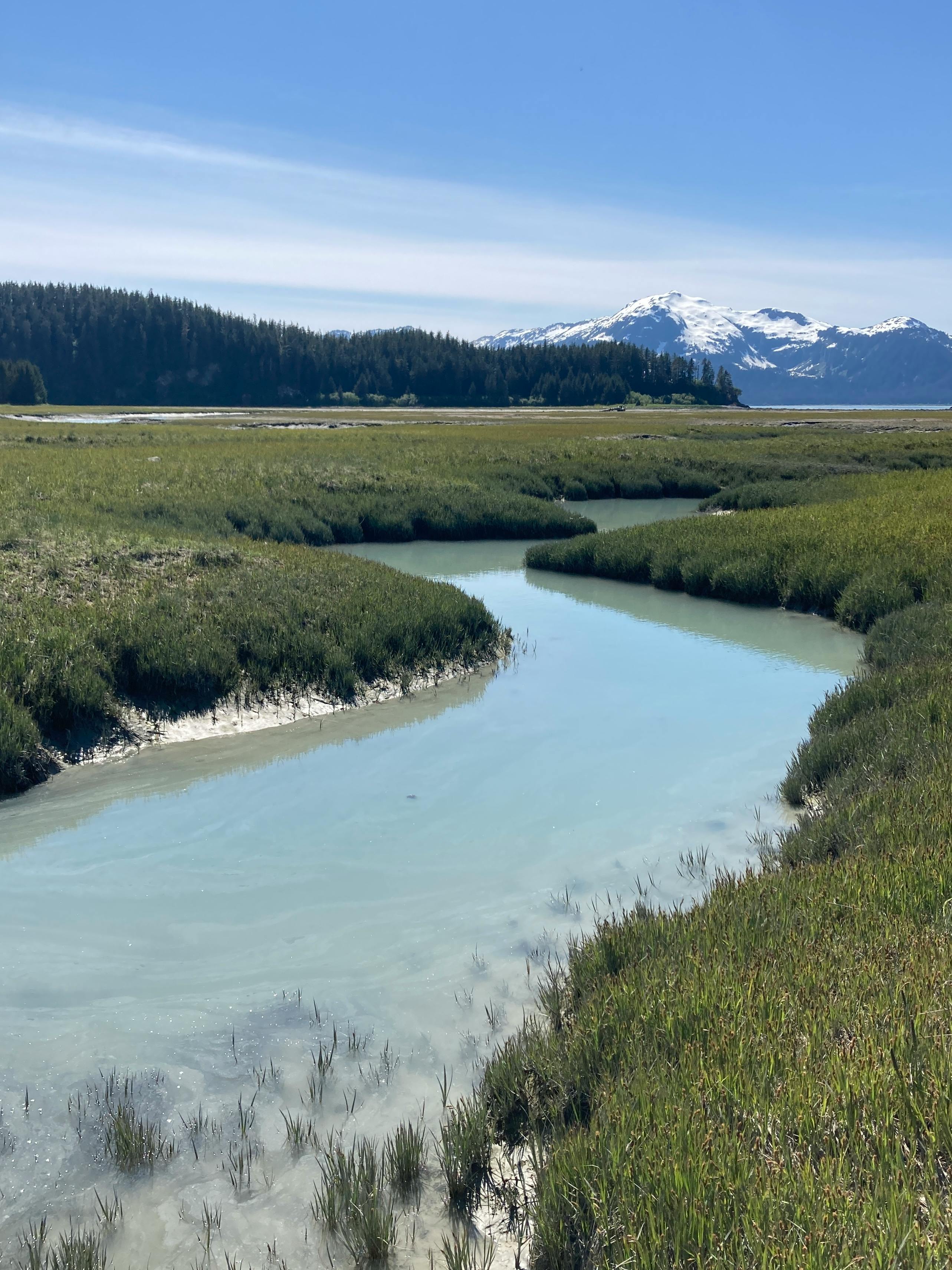 Alaska in a Glimpse - Image 2