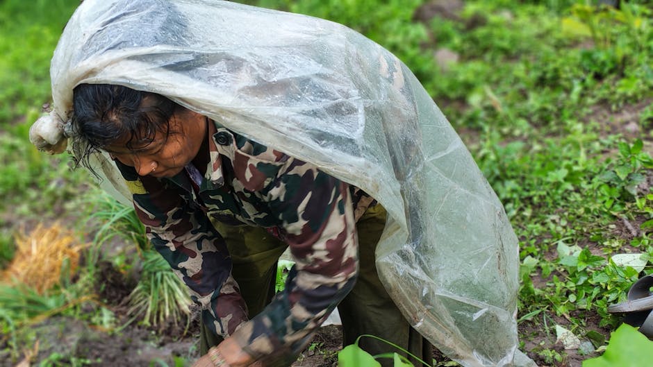 Comment cultiver votre acceptation