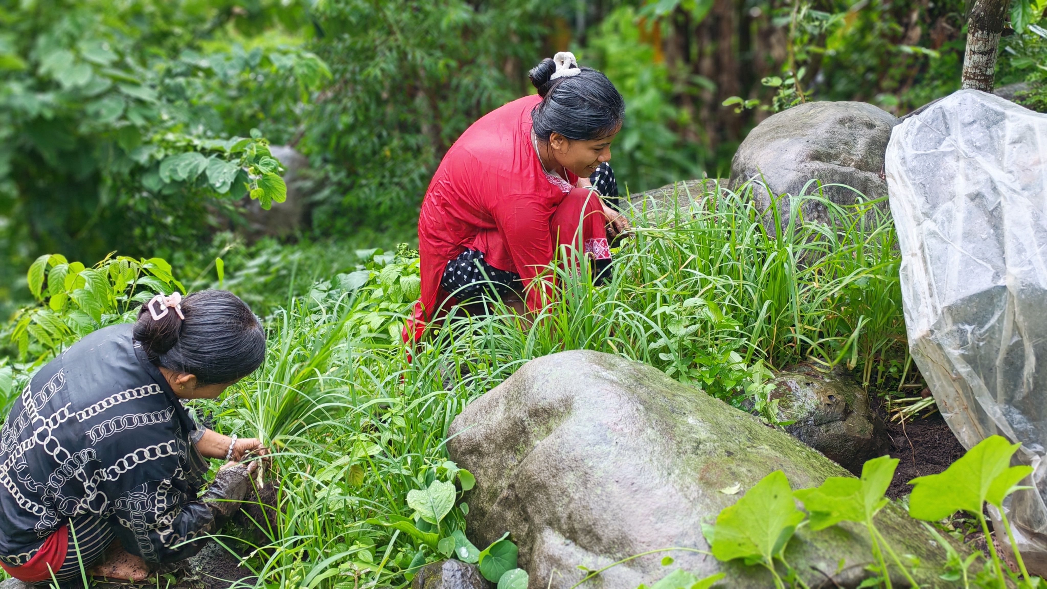 Project Bread’s Community Power Fund Empowers Grassroots Leaders to Make Hunger History — Photo by नेपाली कृषक उसमान वाईबा us