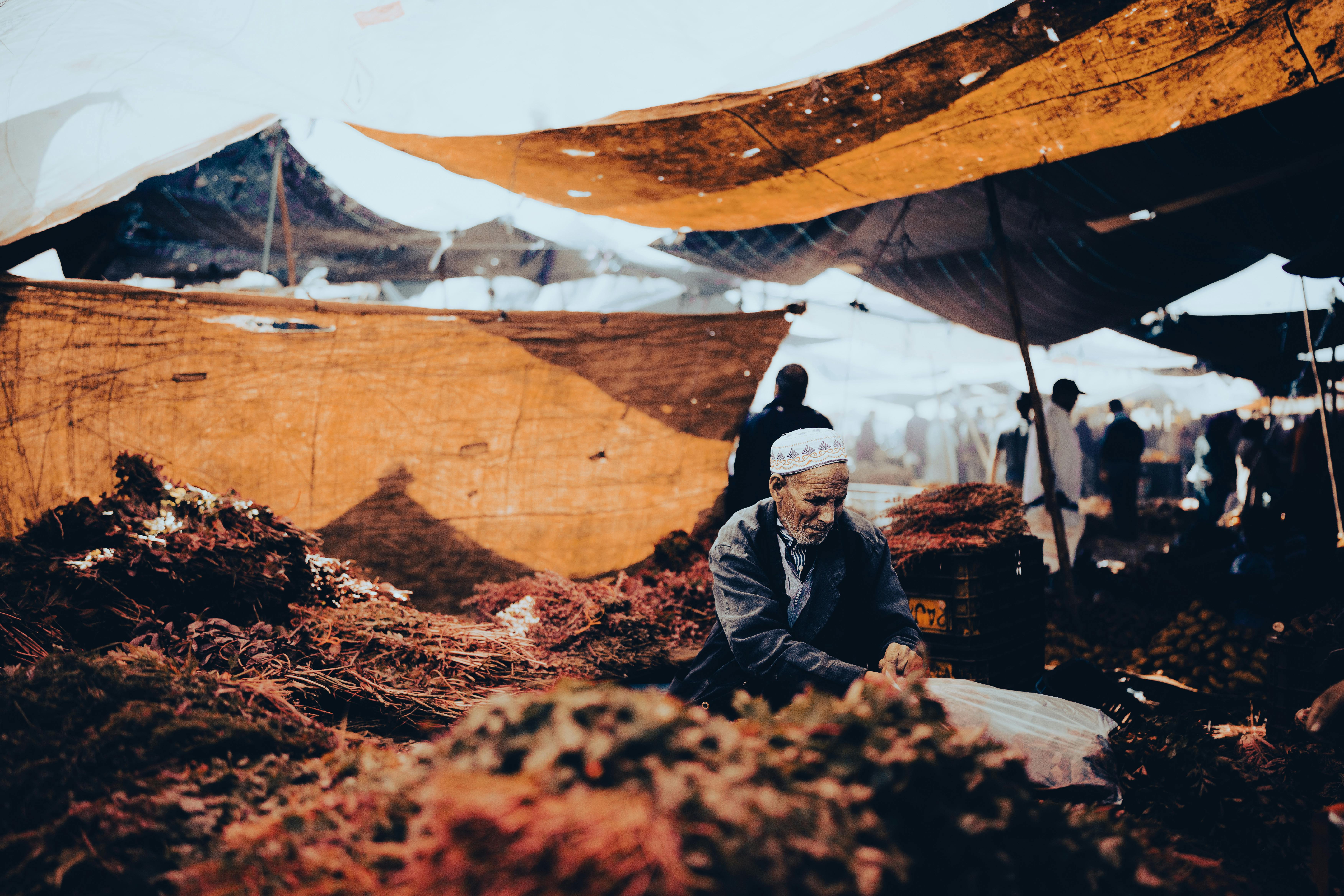 掌握稅務申報截止日 避免罰款陷阱 - 稅務相關法規圖示
