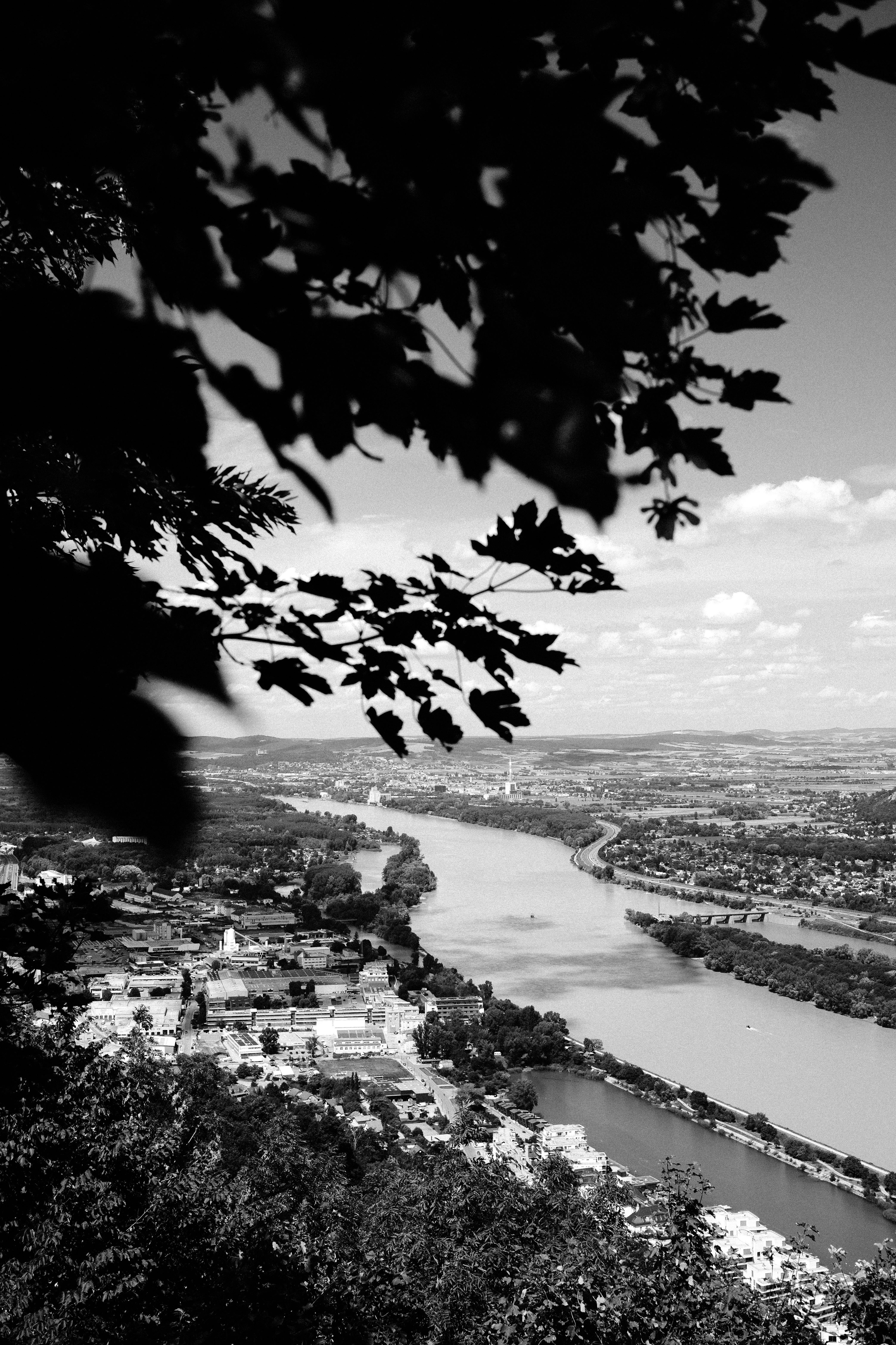 Black and white view of a river and landscape framed by leaves, capturing urban and nature elements.
