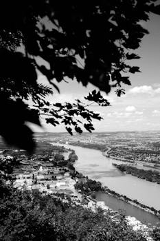 Black and white view of a river and landscape framed by leaves, capturing urban and nature elements.