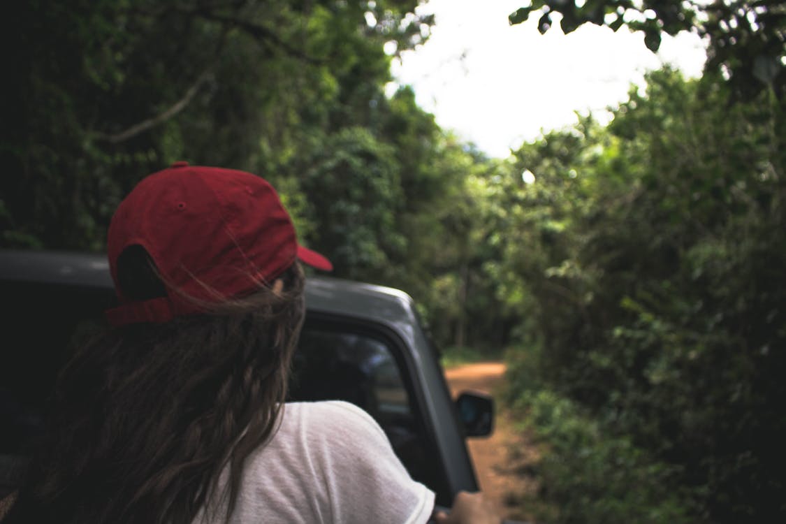 Free stock photo of amazonia, brazil, car