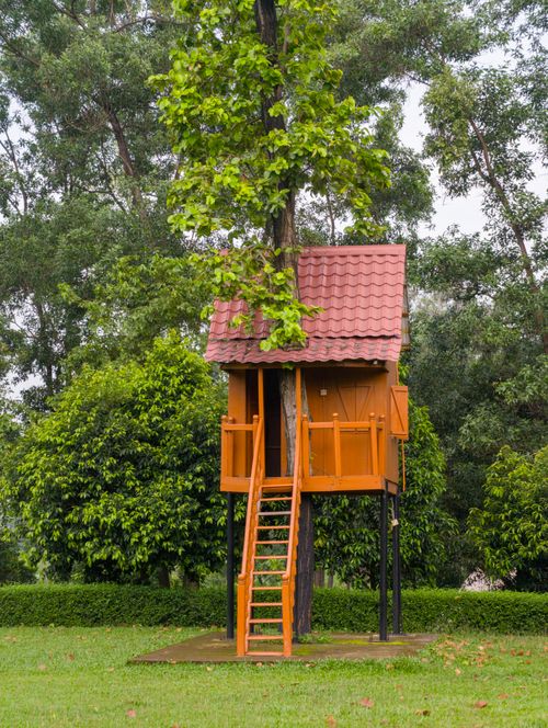 Free A picturesque treehouse in a lush, green forest capturing rustic charm and nature's tranquility. Stock Photo