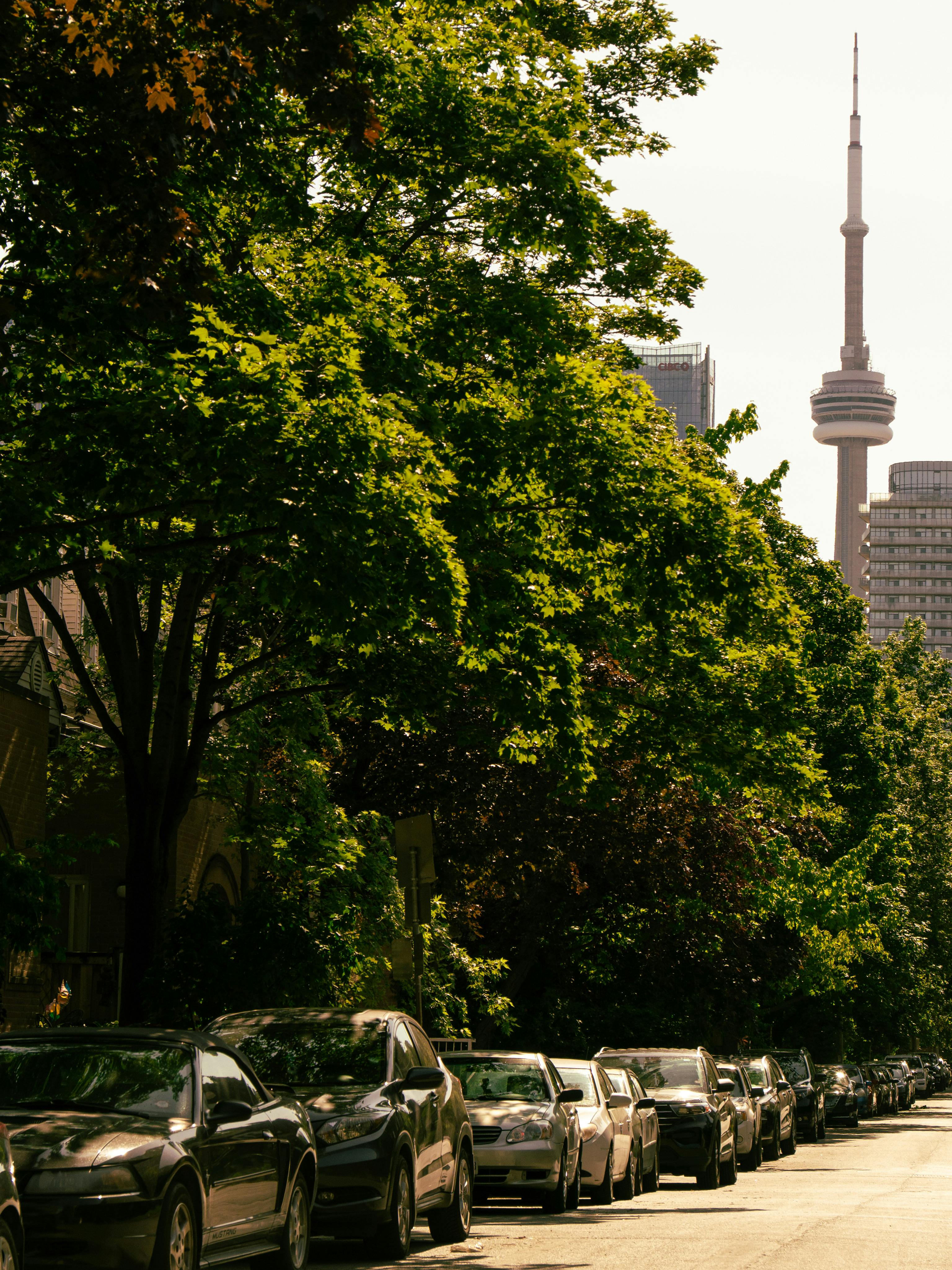Cars parked along a leafy Toronto street with the CN Tower in view. Sunny day vibe.