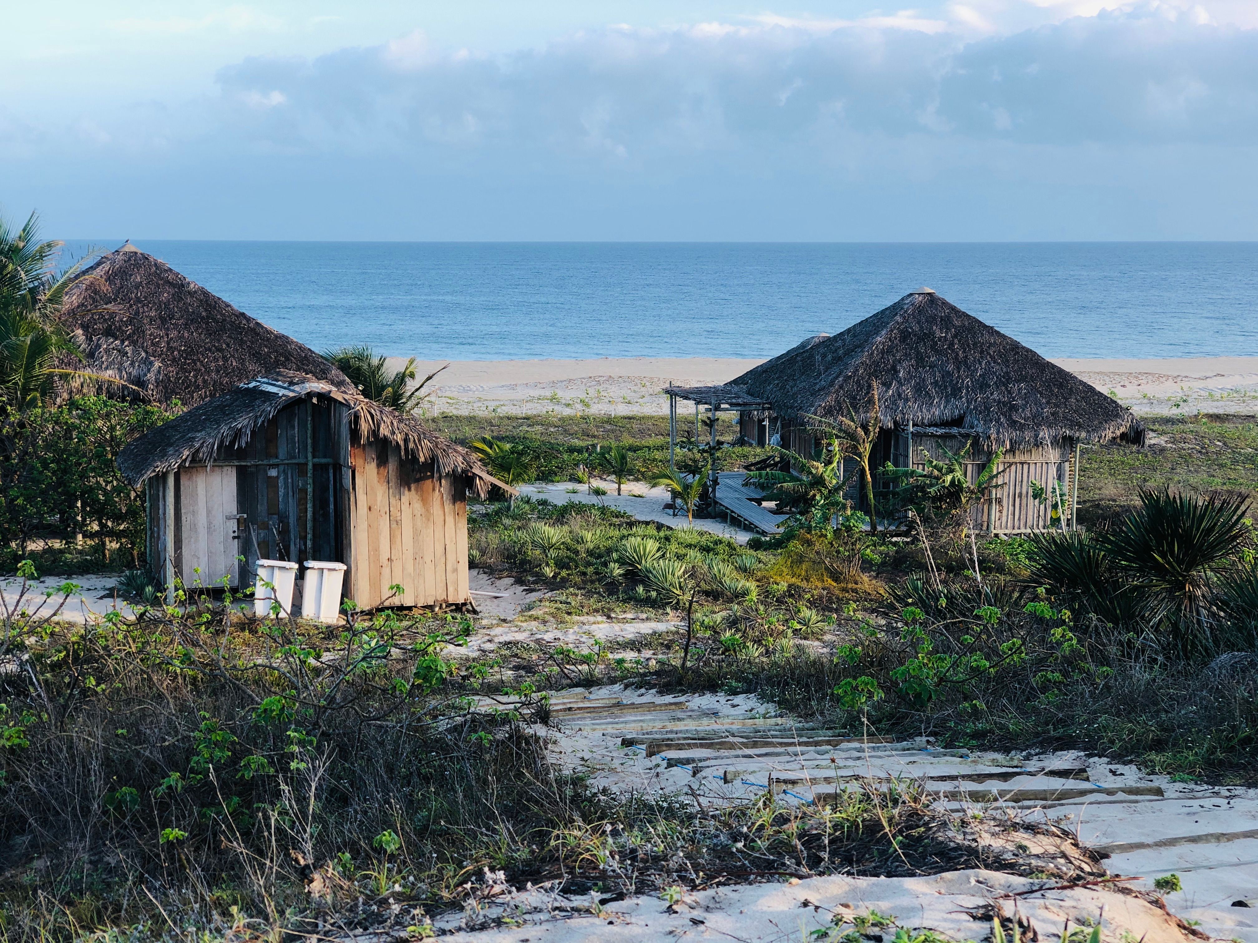 Idyllic tropical huts with thatched roofs on a serene beach setting, ocean in view.