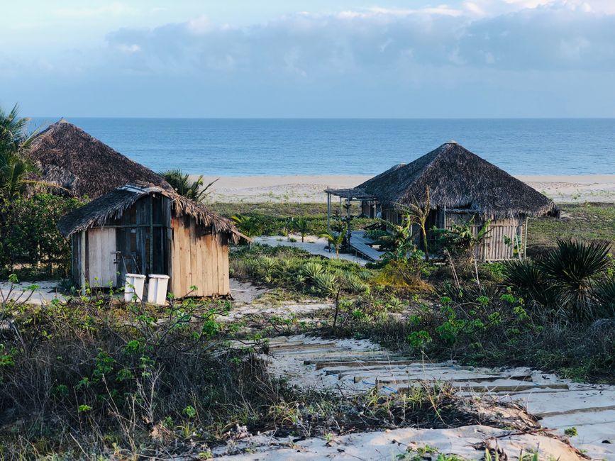 Idyllic tropical huts with thatched roofs on a serene beach setting, ocean in view.